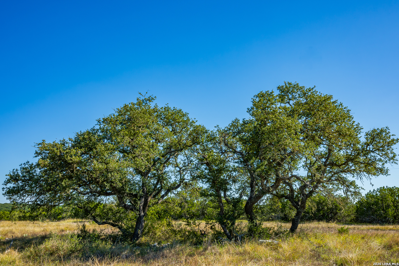 913 GREENWOOD VALLEY RANCH RD, Rocksprings, TX 78880