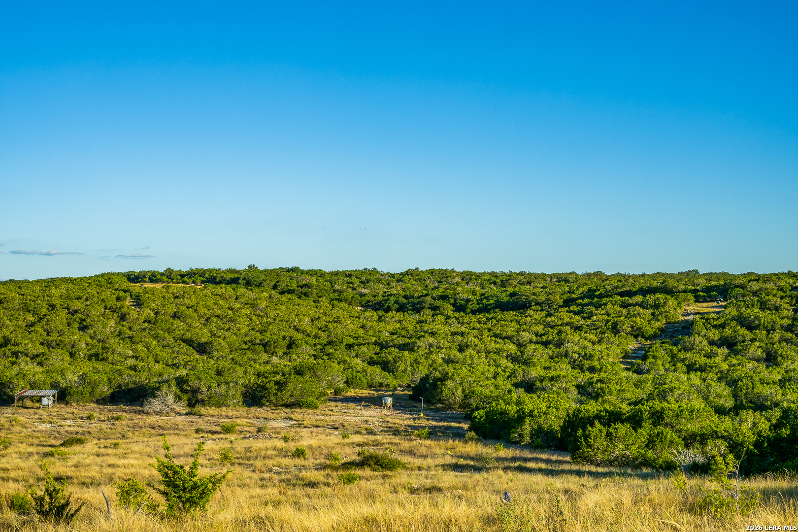 913 GREENWOOD VALLEY RANCH RD, Rocksprings, TX 78880