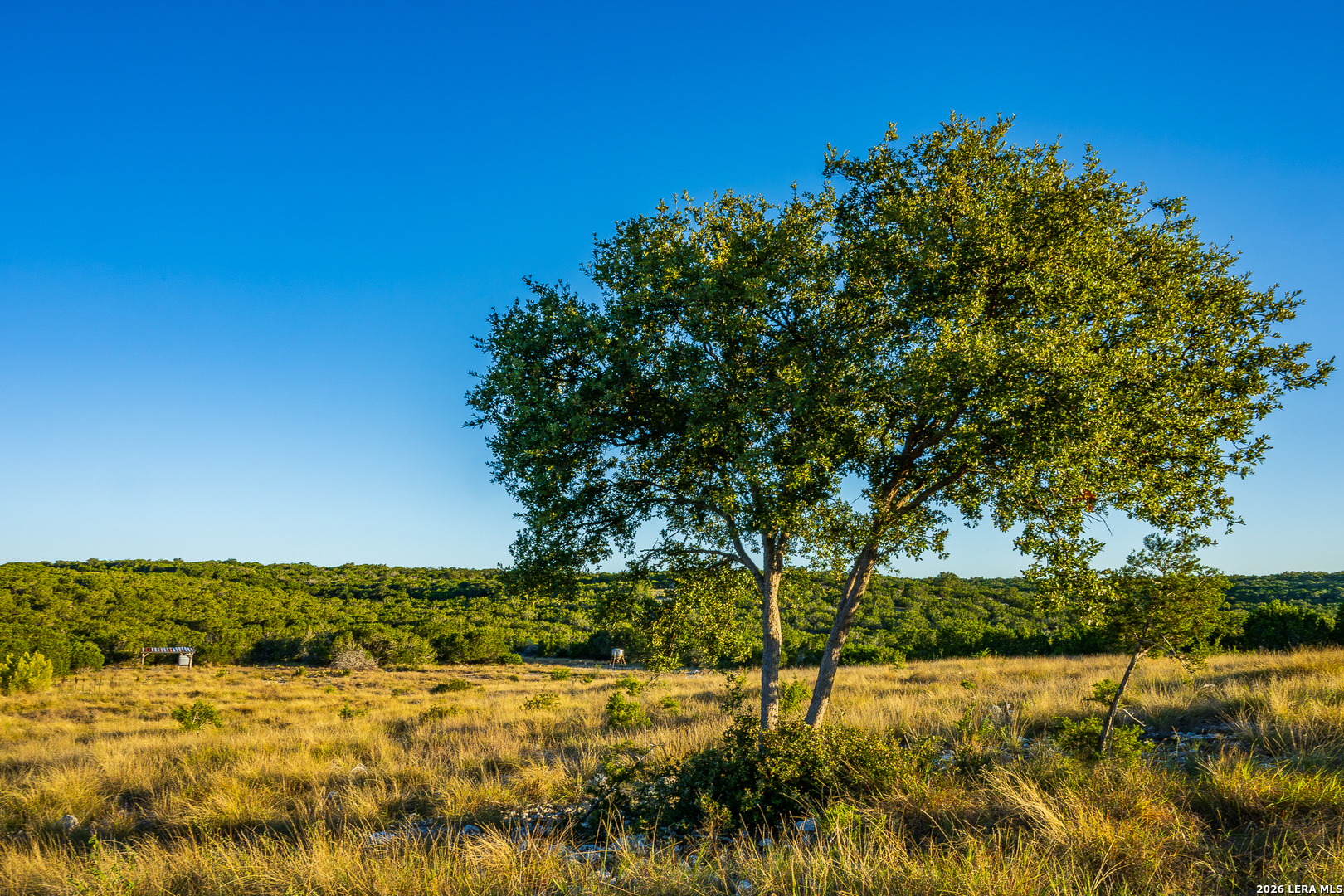 913 GREENWOOD VALLEY RANCH RD, Rocksprings, TX 78880