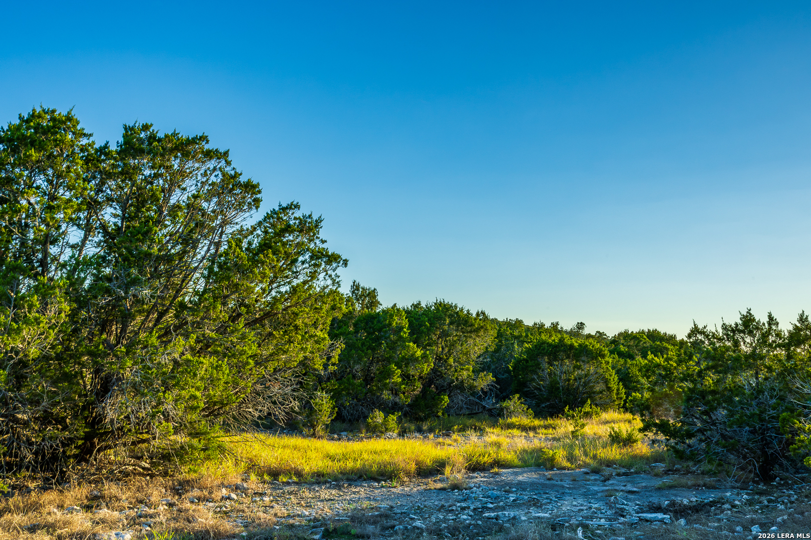 913 GREENWOOD VALLEY RANCH RD, Rocksprings, TX 78880