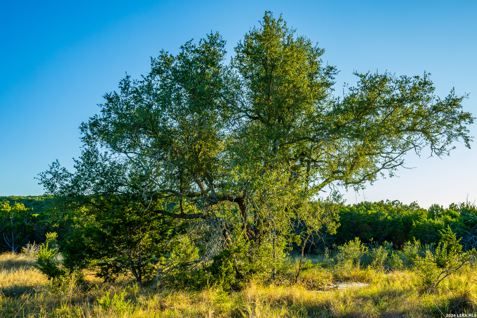 913 GREENWOOD VALLEY RANCH RD, Rocksprings, TX 78880