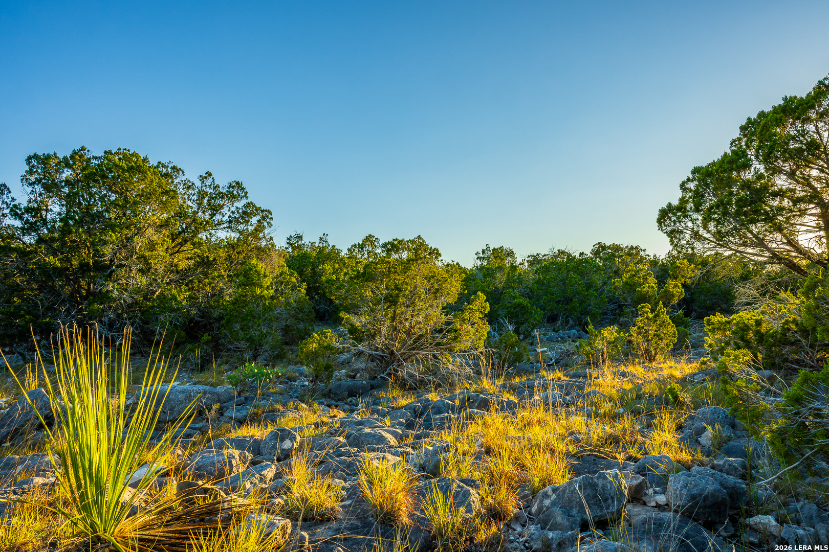 913 GREENWOOD VALLEY RANCH RD, Rocksprings, TX 78880