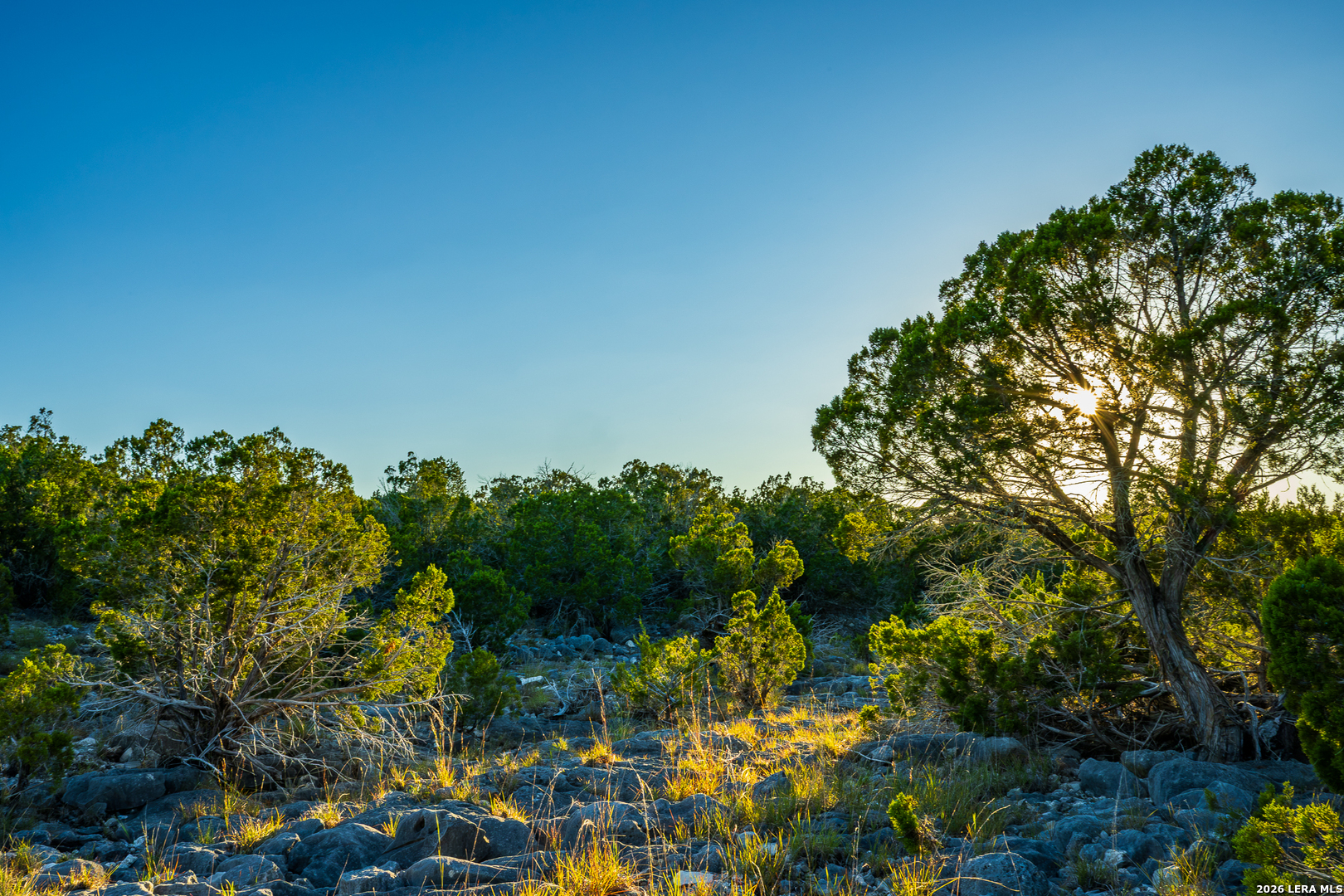 913 GREENWOOD VALLEY RANCH RD, Rocksprings, TX 78880