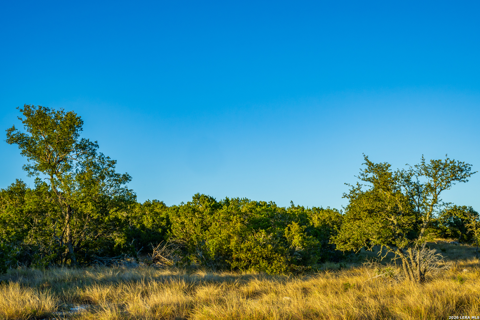 913 GREENWOOD VALLEY RANCH RD, Rocksprings, TX 78880