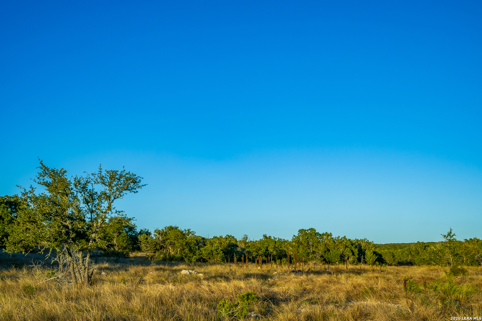 913 GREENWOOD VALLEY RANCH RD, Rocksprings, TX 78880