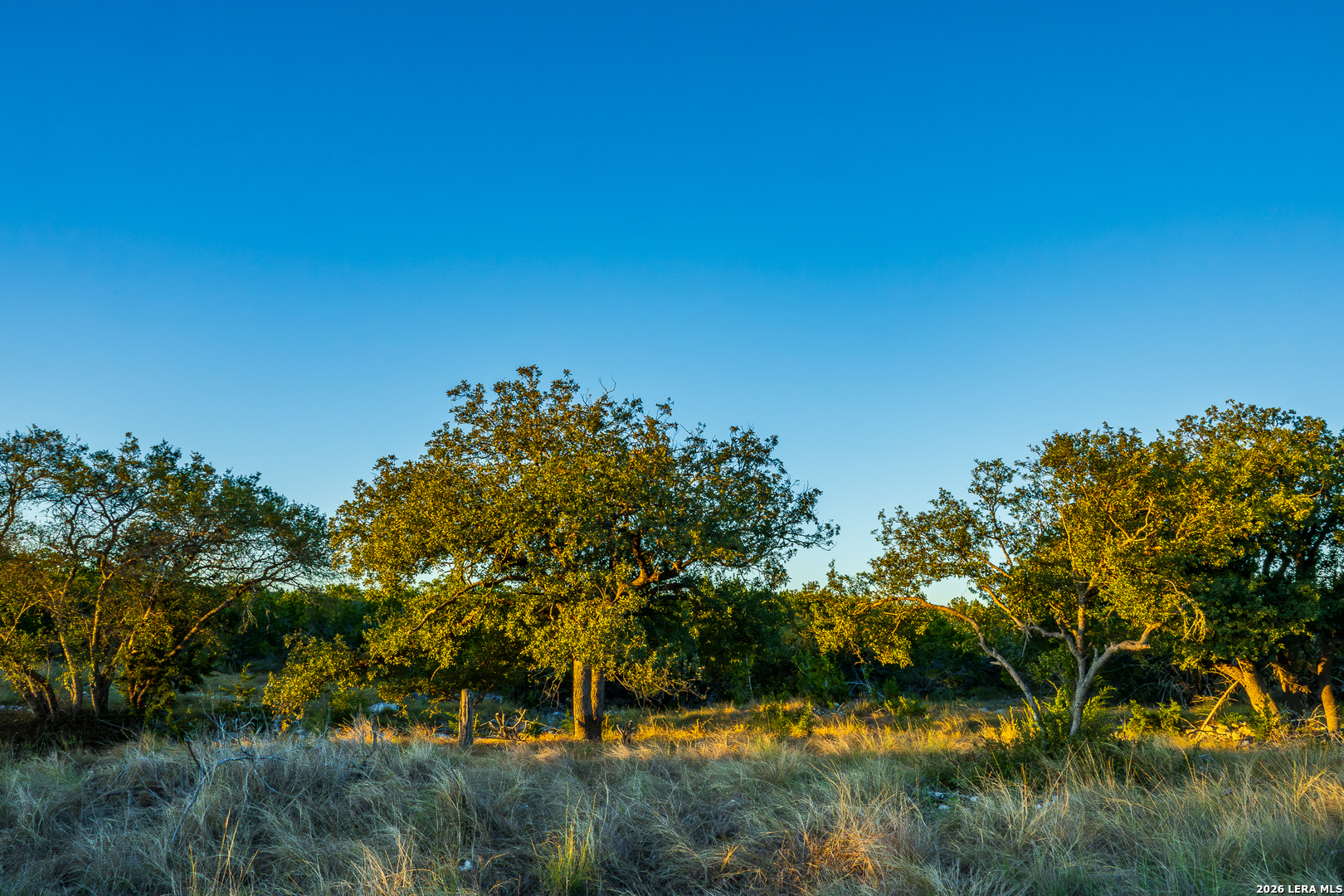 913 GREENWOOD VALLEY RANCH RD, Rocksprings, TX 78880