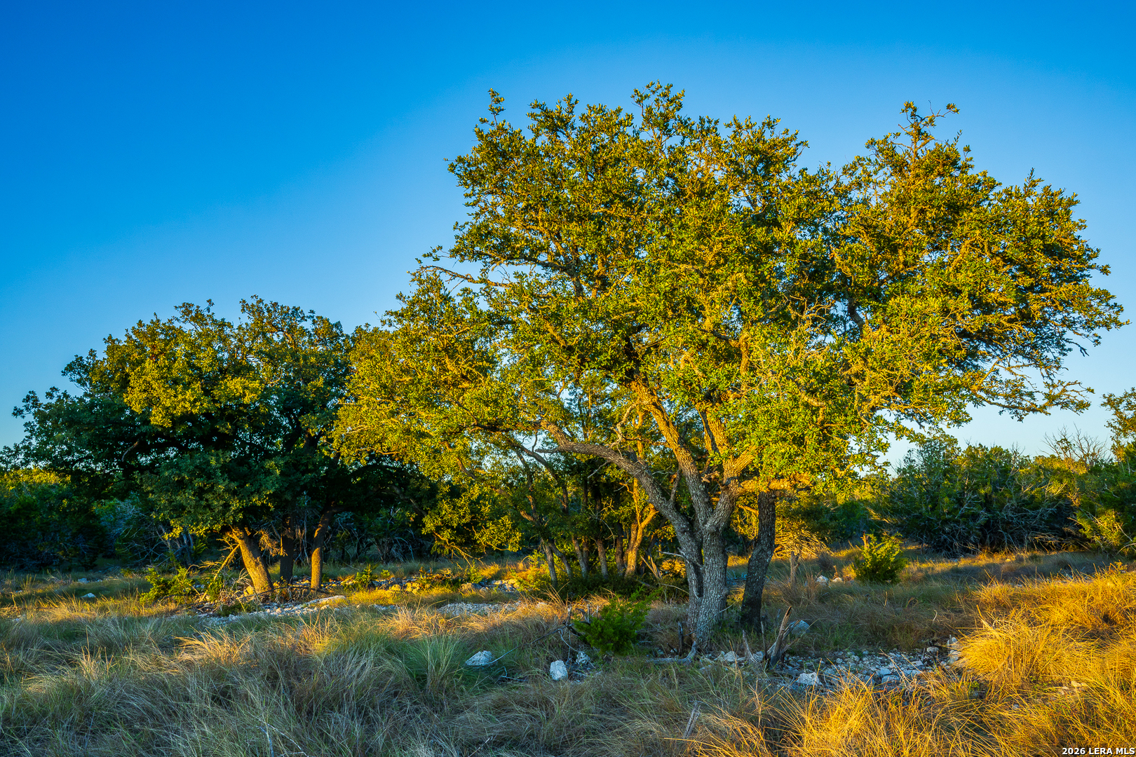 913 GREENWOOD VALLEY RANCH RD, Rocksprings, TX 78880
