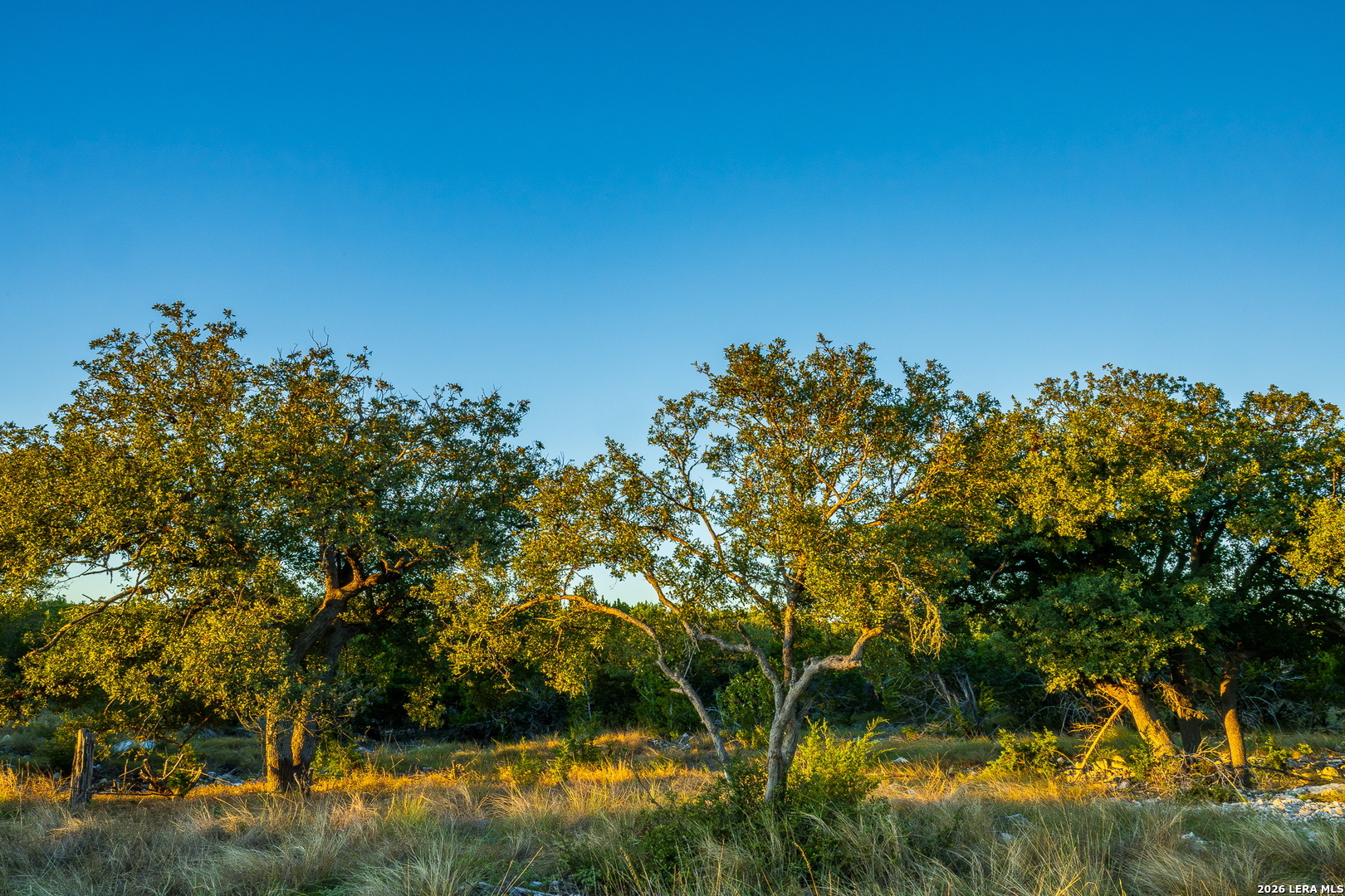 913 GREENWOOD VALLEY RANCH RD, Rocksprings, TX 78880