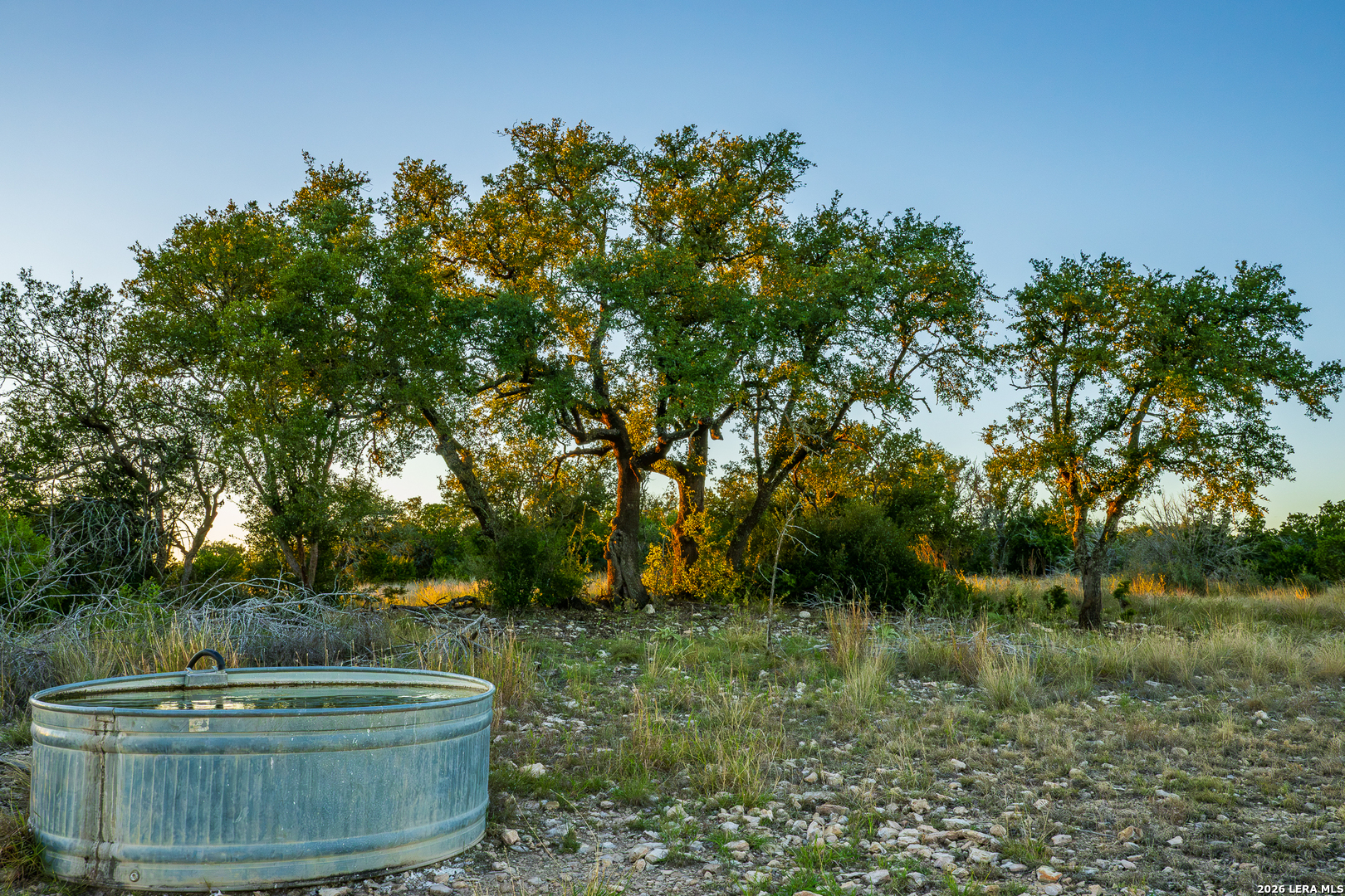 913 GREENWOOD VALLEY RANCH RD, Rocksprings, TX 78880