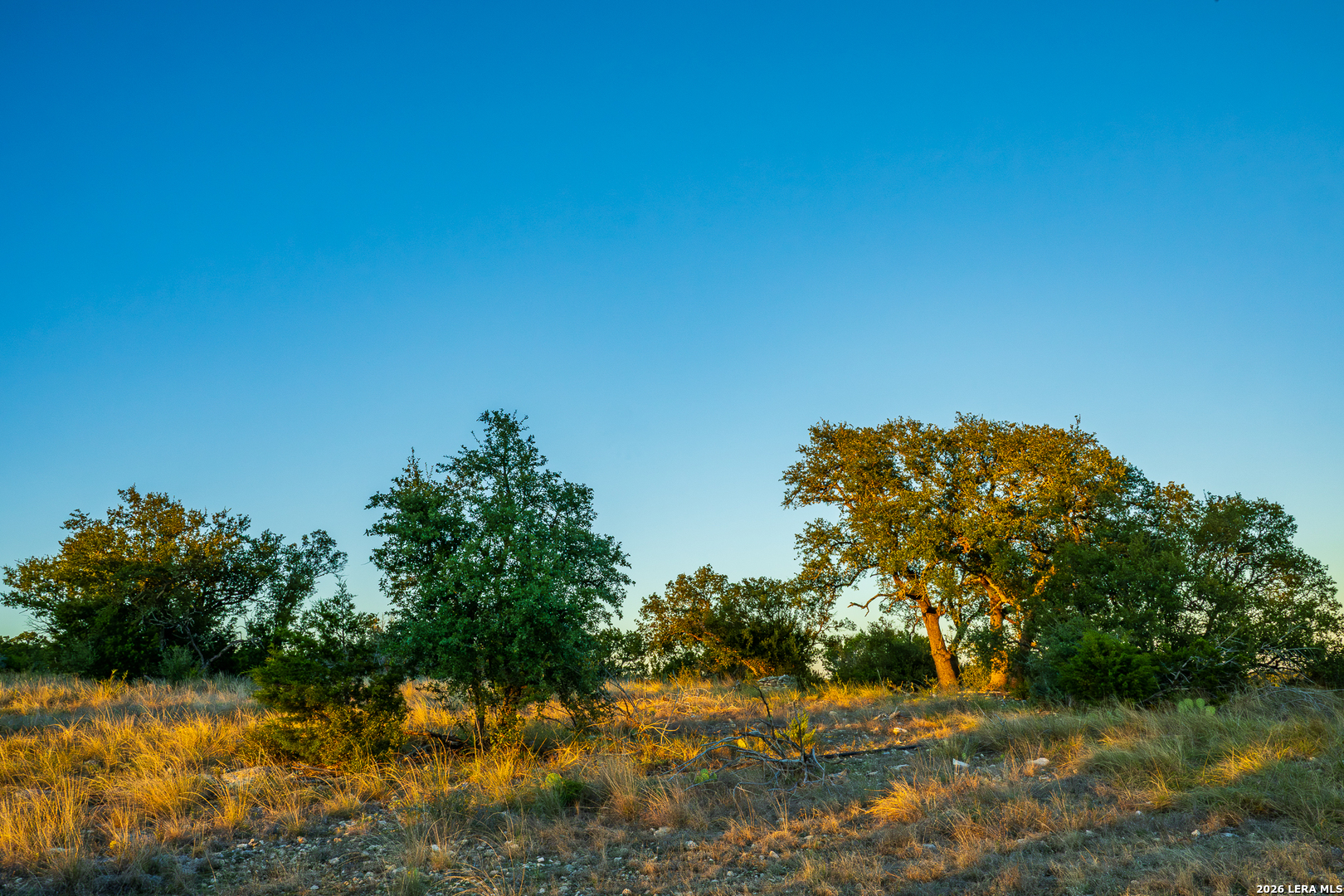 913 GREENWOOD VALLEY RANCH RD, Rocksprings, TX 78880