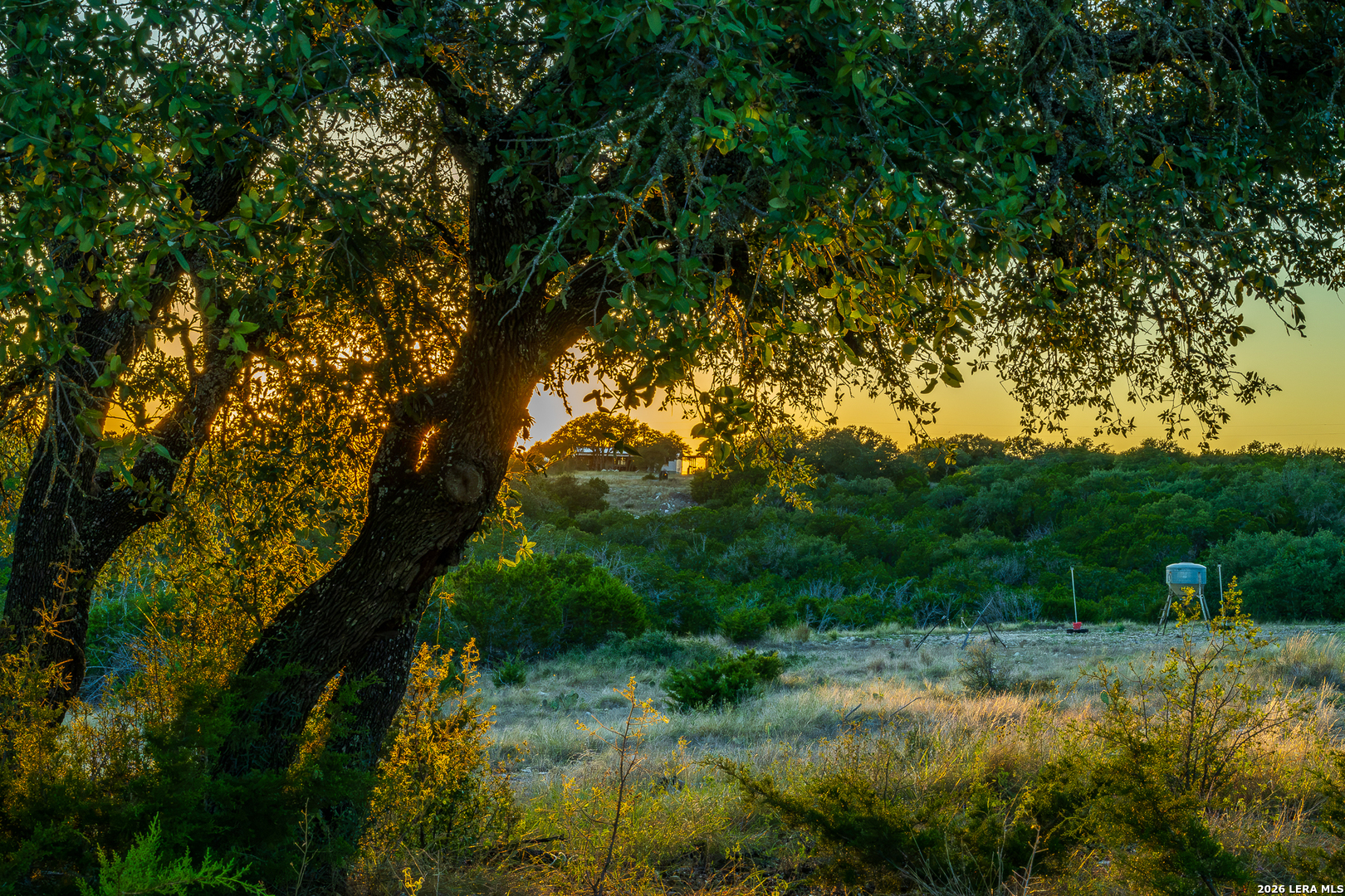 913 GREENWOOD VALLEY RANCH RD, Rocksprings, TX 78880