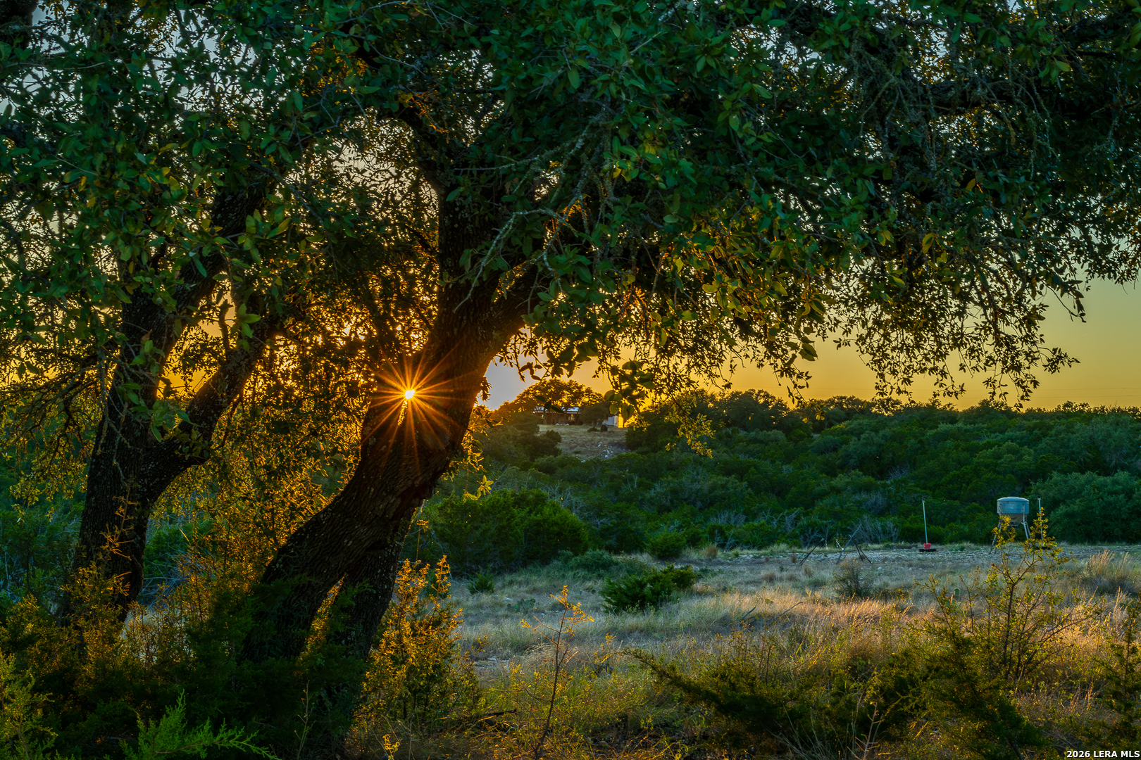 913 GREENWOOD VALLEY RANCH RD, Rocksprings, TX 78880