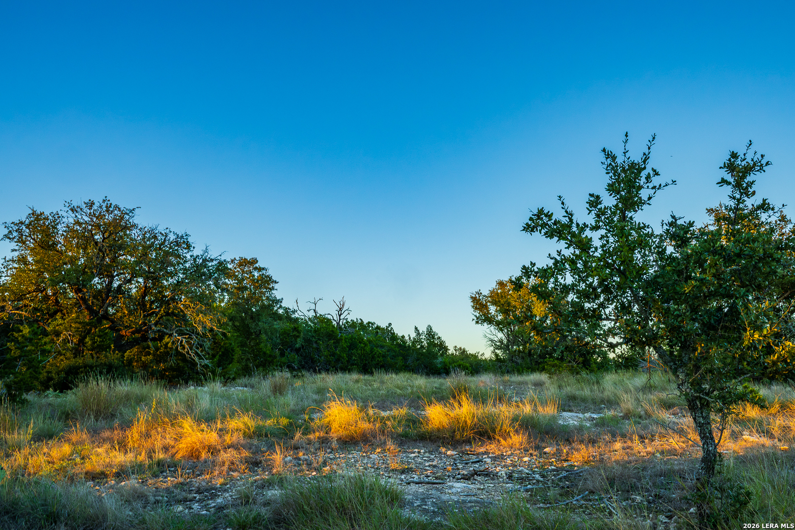 913 GREENWOOD VALLEY RANCH RD, Rocksprings, TX 78880