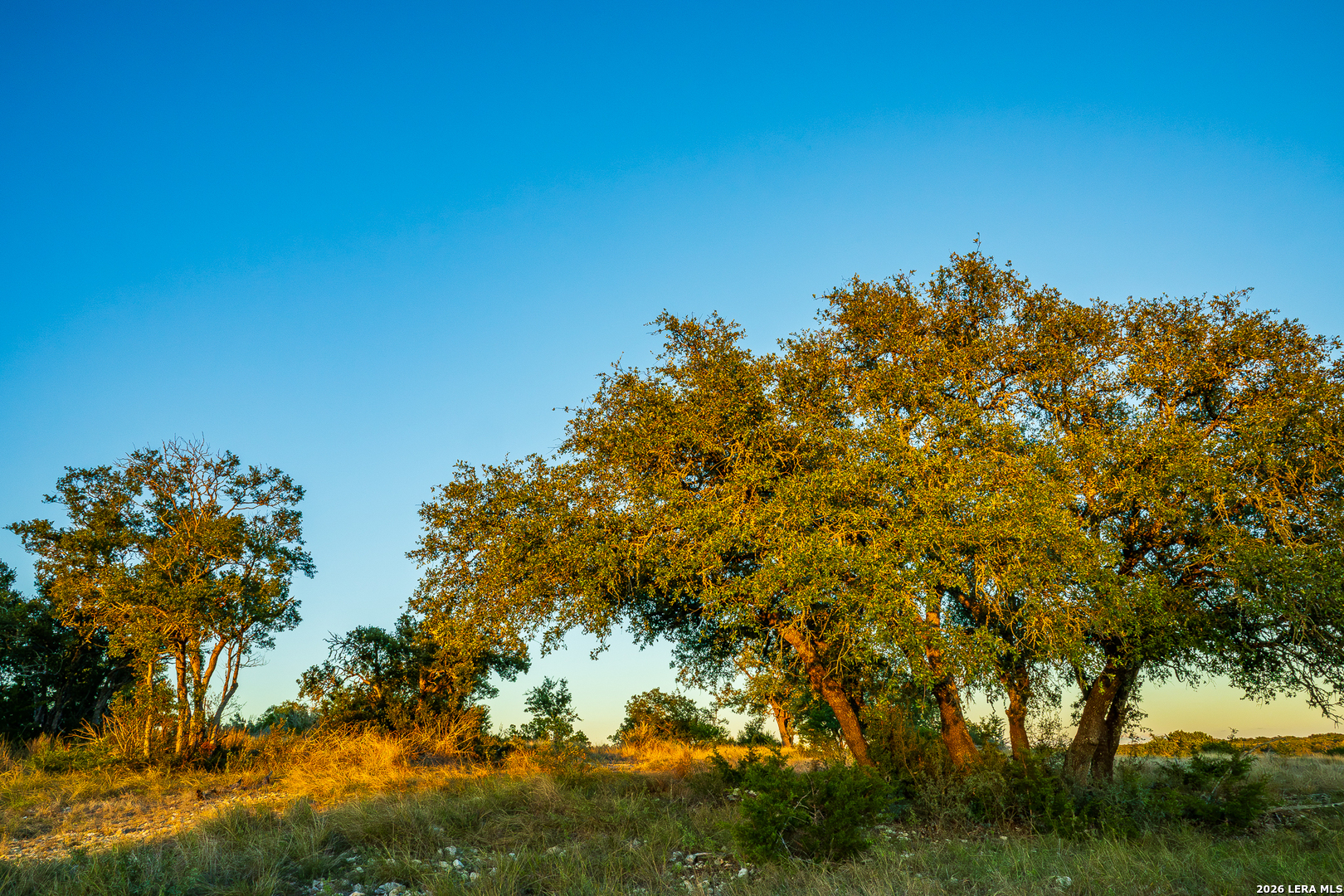 913 GREENWOOD VALLEY RANCH RD, Rocksprings, TX 78880