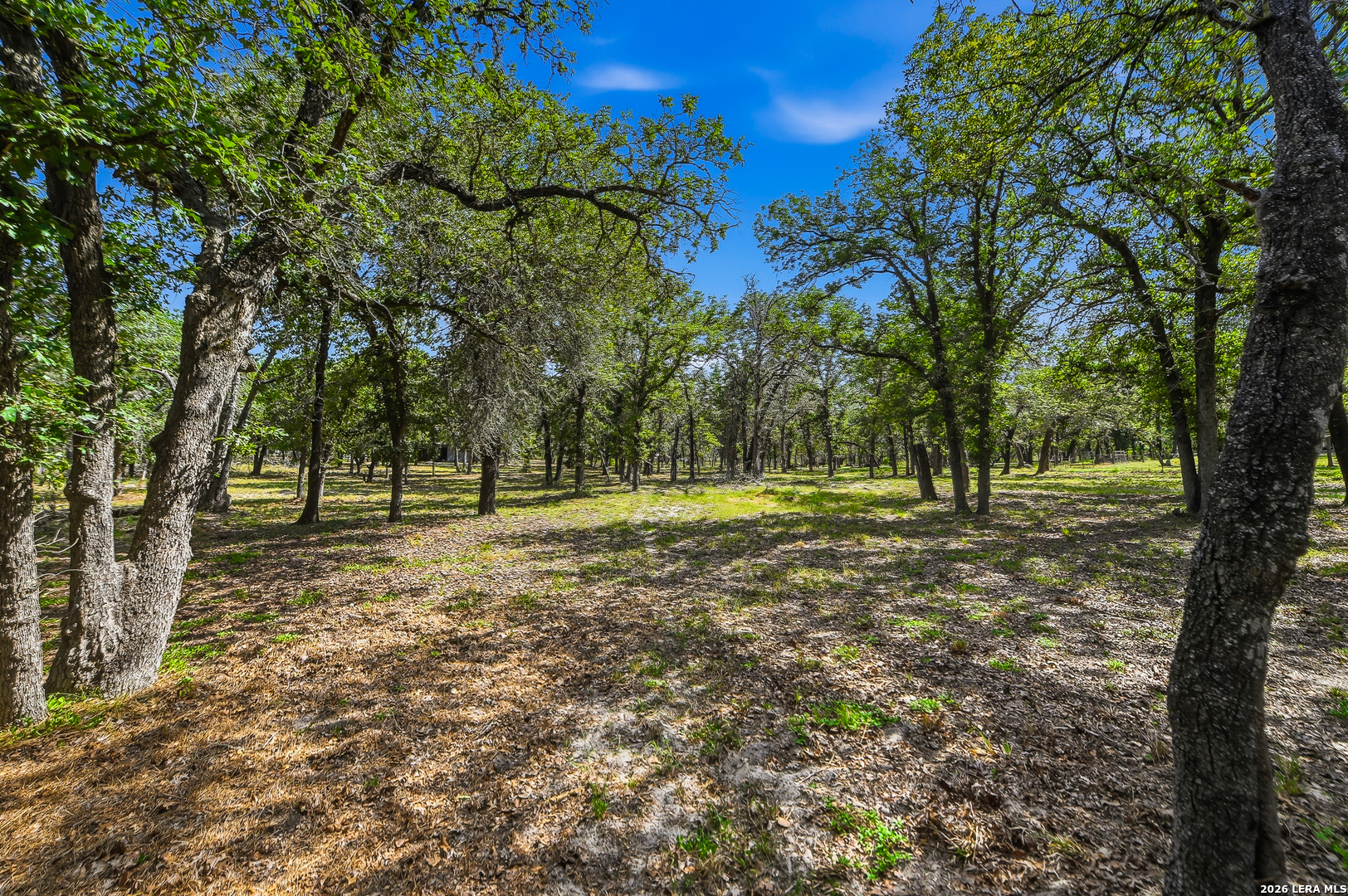 241 OAK HOLLOW DR, La Vernia, TX 78121