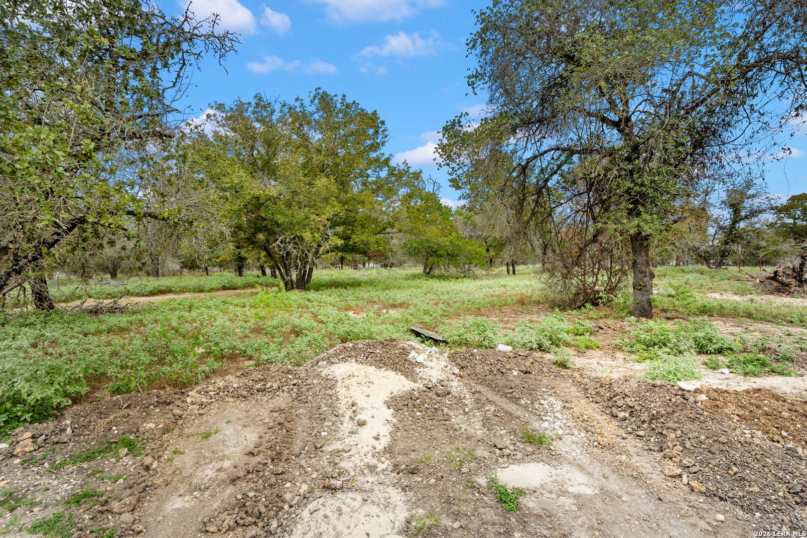 1403 MEADOW GLN, Adkins, TX 78101