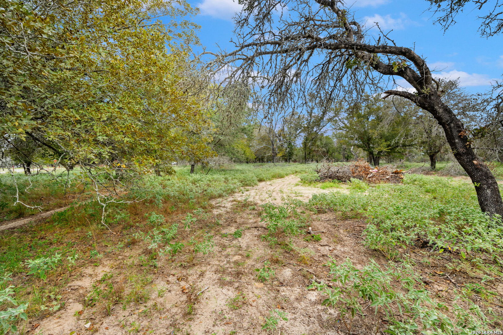 1403 MEADOW GLN, Adkins, TX 78101