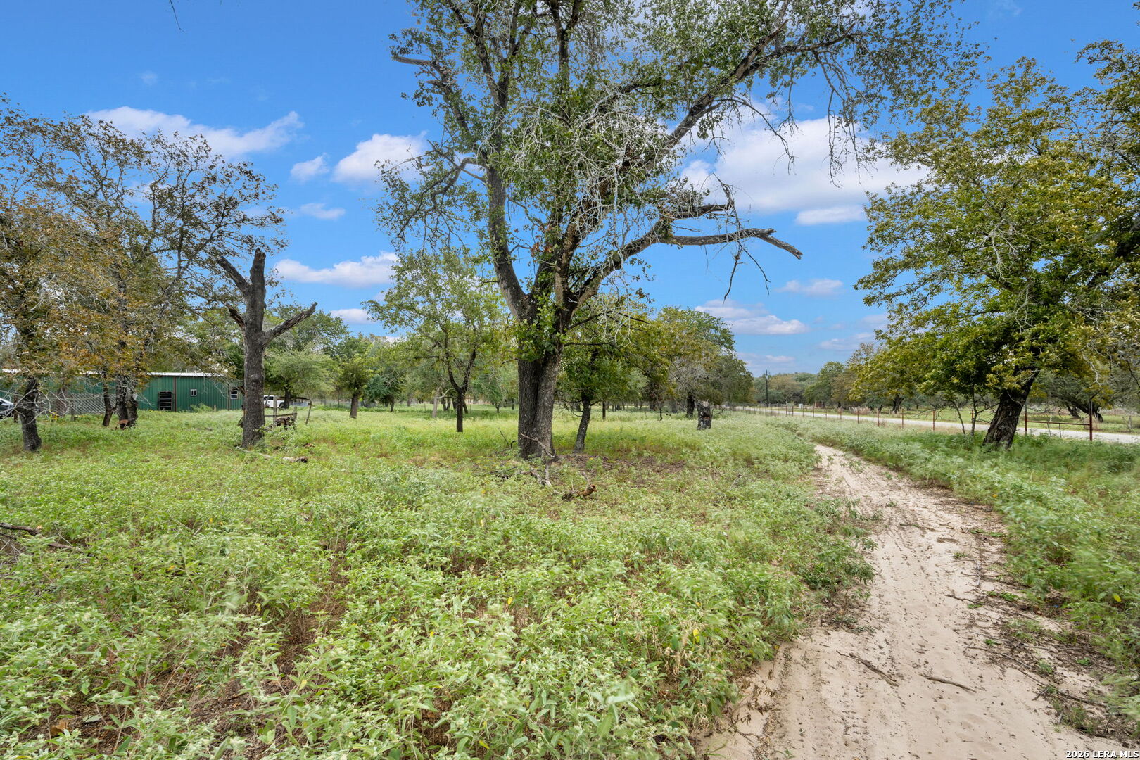 1403 MEADOW GLN, Adkins, TX 78101