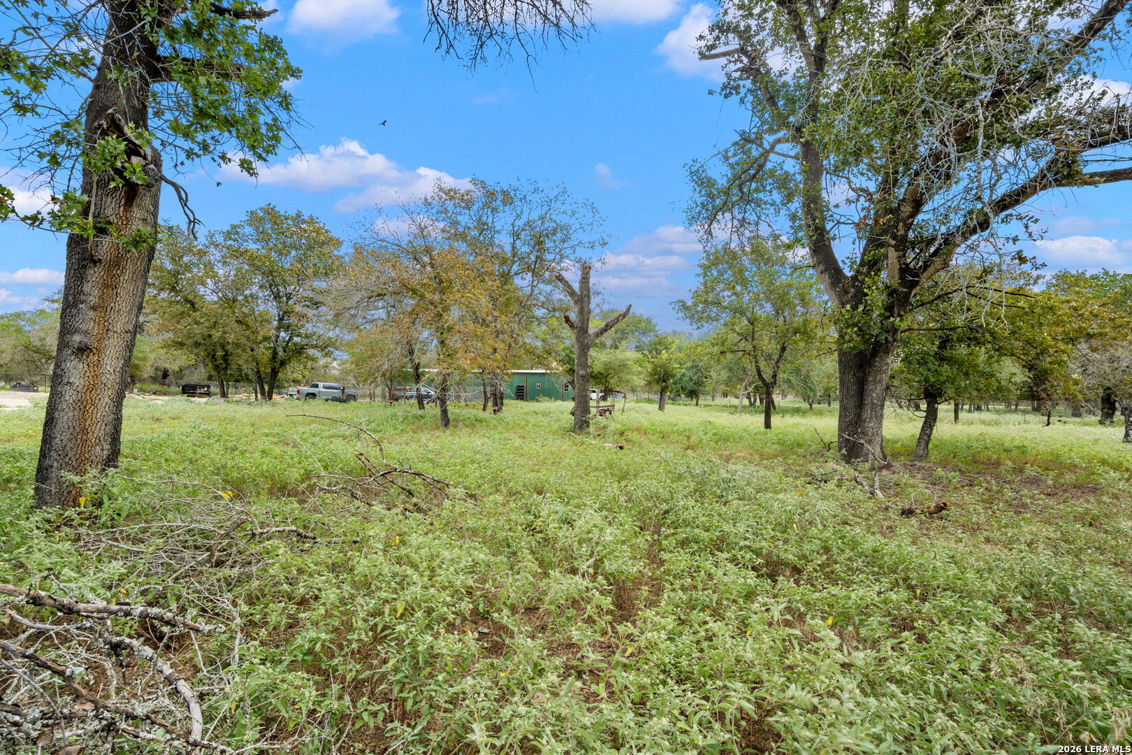 1403 MEADOW GLN, Adkins, TX 78101
