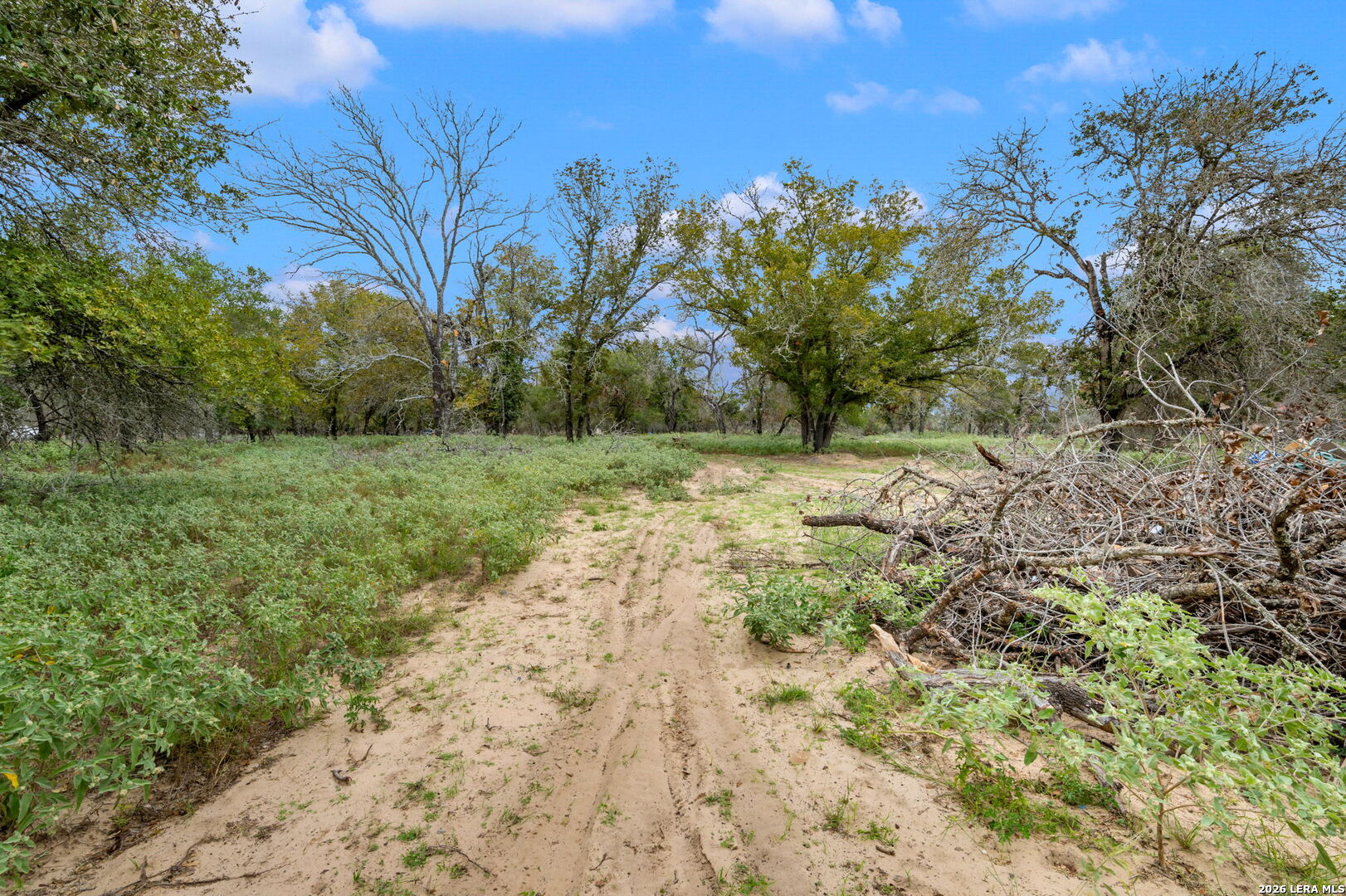 1403 MEADOW GLN, Adkins, TX 78101