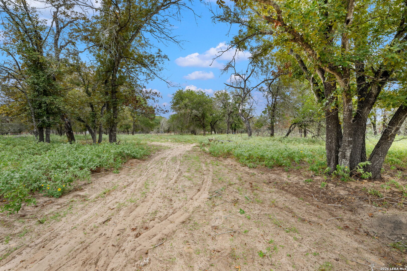 1403 MEADOW GLN, Adkins, TX 78101