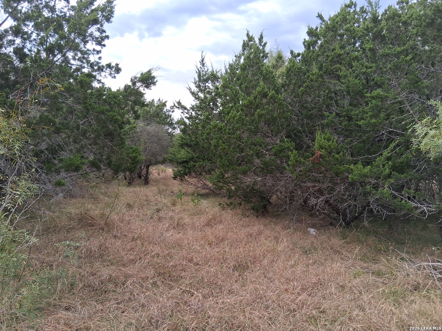 60 Mountain Valley, ConCan, TX 78838