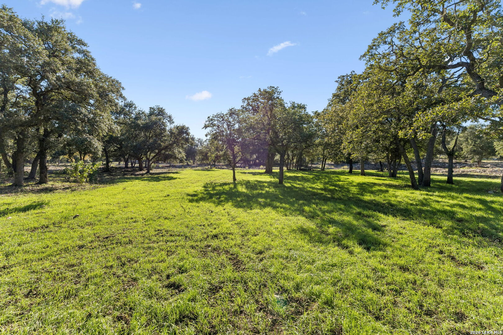 105 Dillard Lane, Bergheim, TX 78004