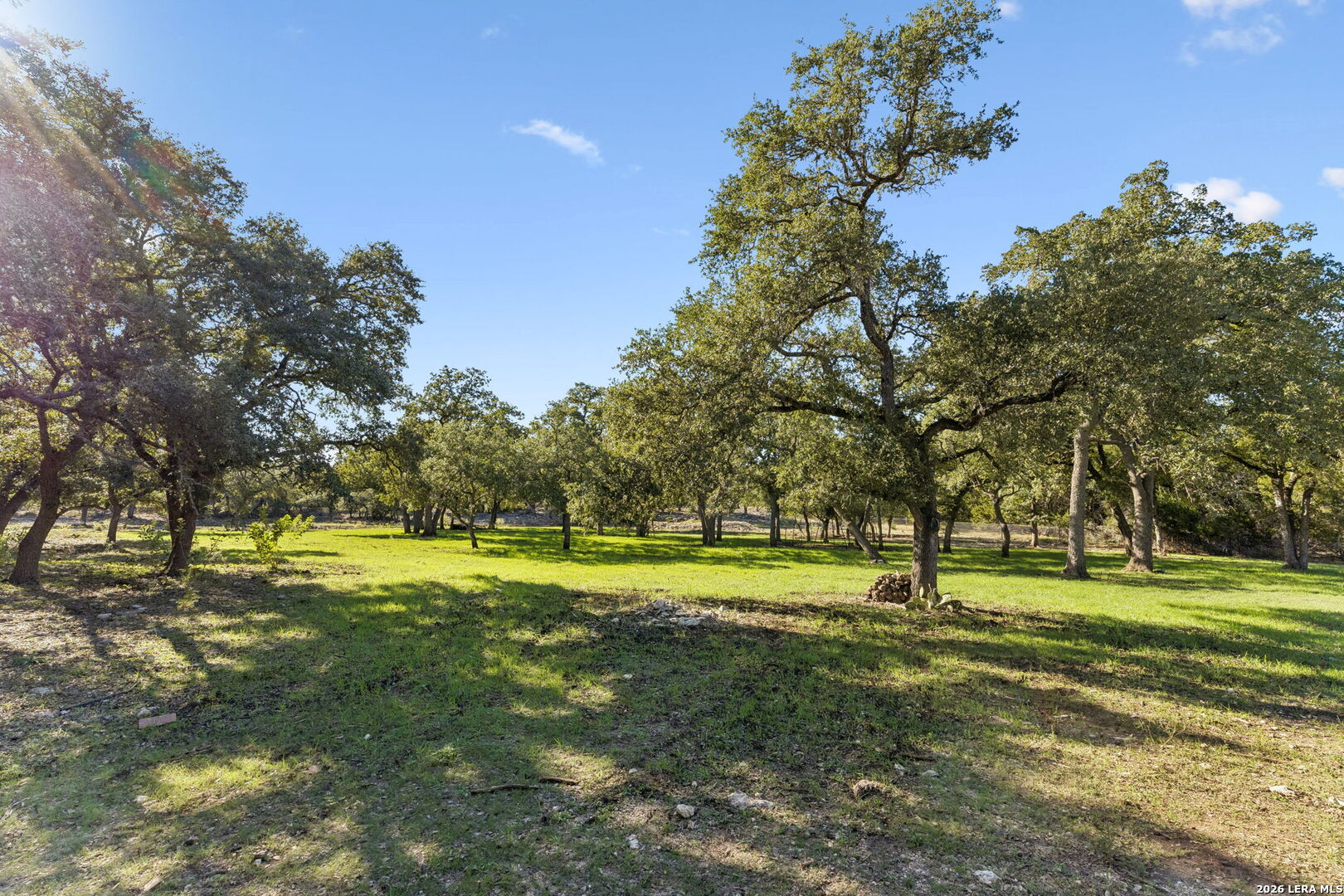 105 Dillard Lane, Bergheim, TX 78004