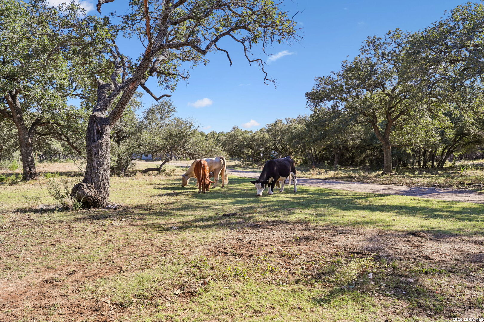 105 Dillard Lane, Bergheim, TX 78004