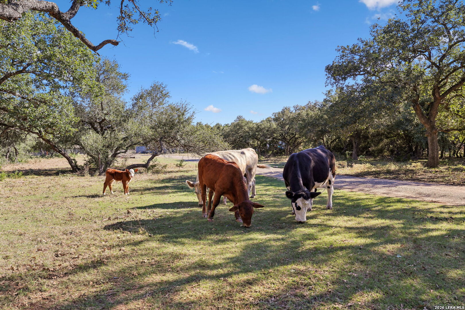 105 Dillard Lane, Bergheim, TX 78004