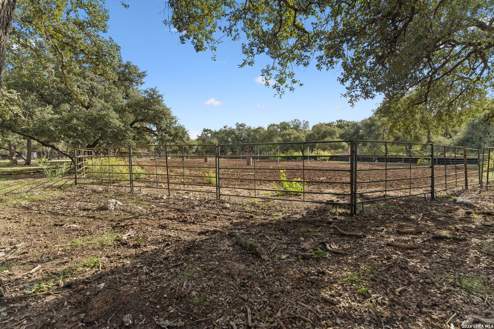 105 Dillard Lane, Bergheim, TX 78004