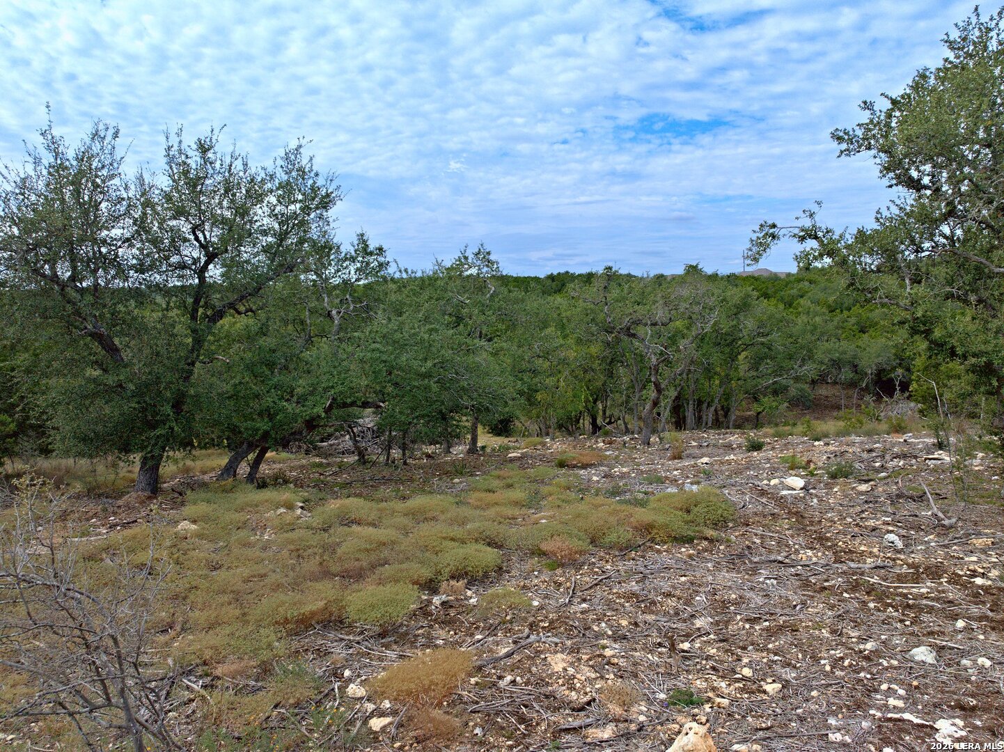 118 Flanders, Fischer, TX 78623