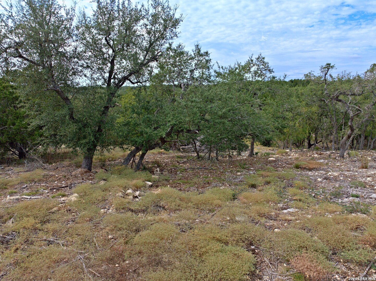 118 Flanders, Fischer, TX 78623