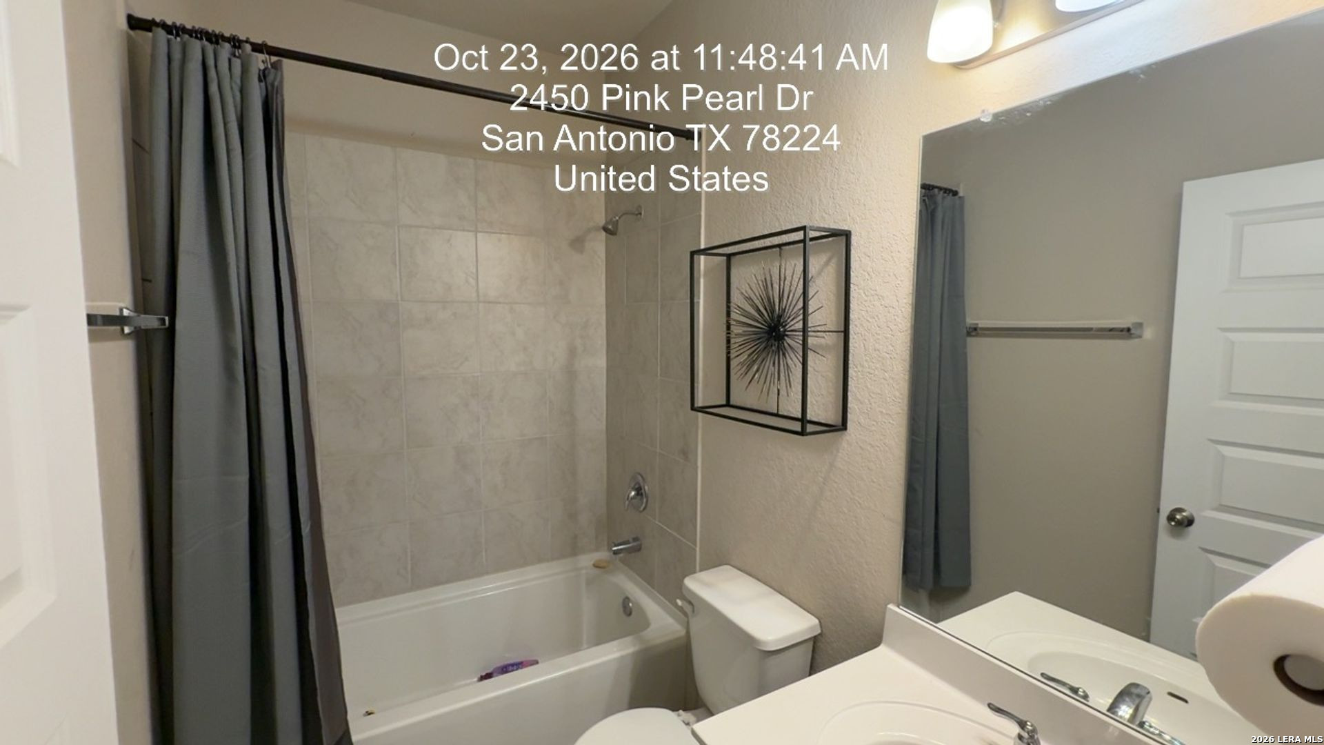 2446 PINK PEARL DR, San Antonio, TX 78224