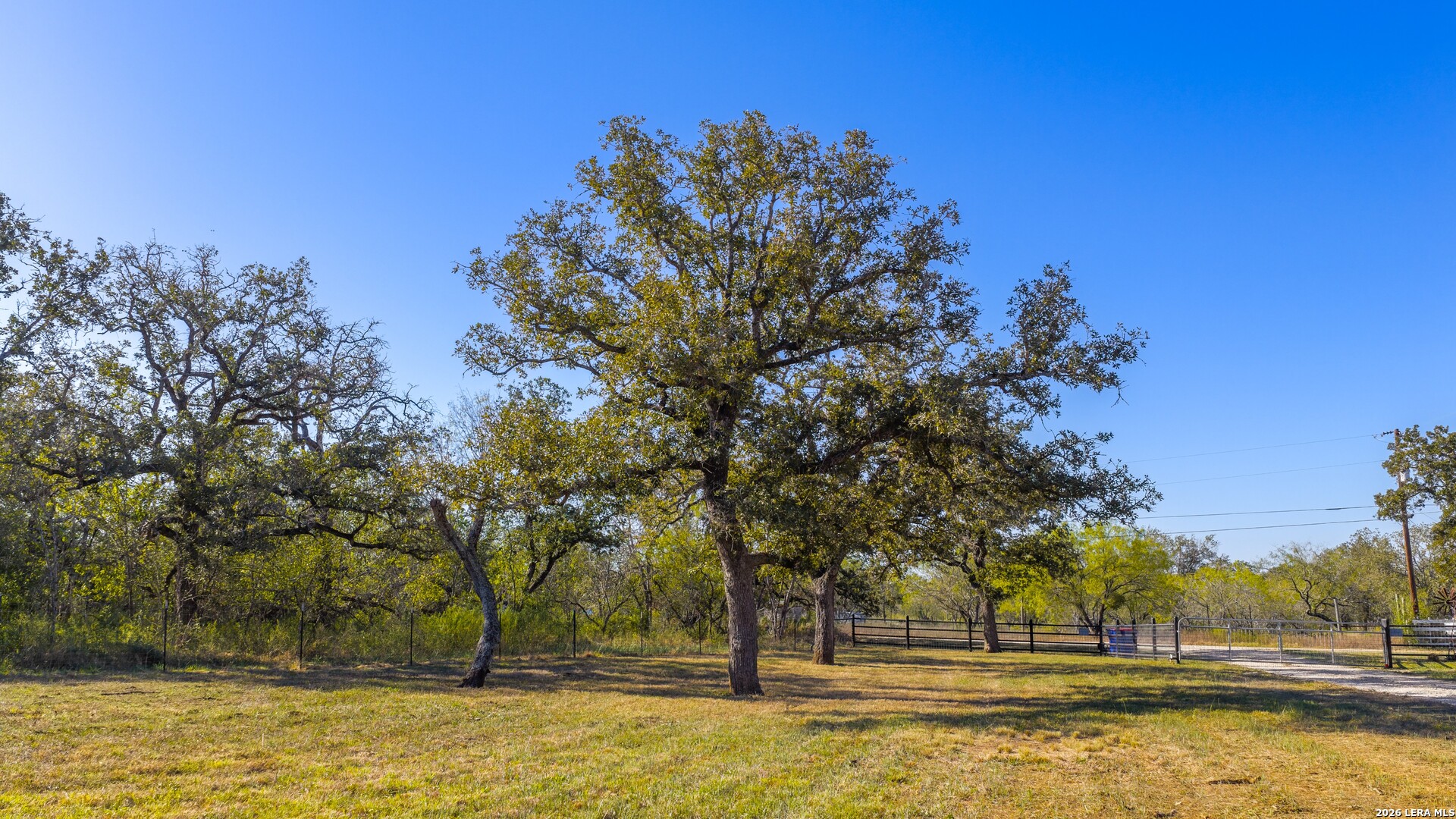 594 Sleepy Meadow, Nixon, TX 78140