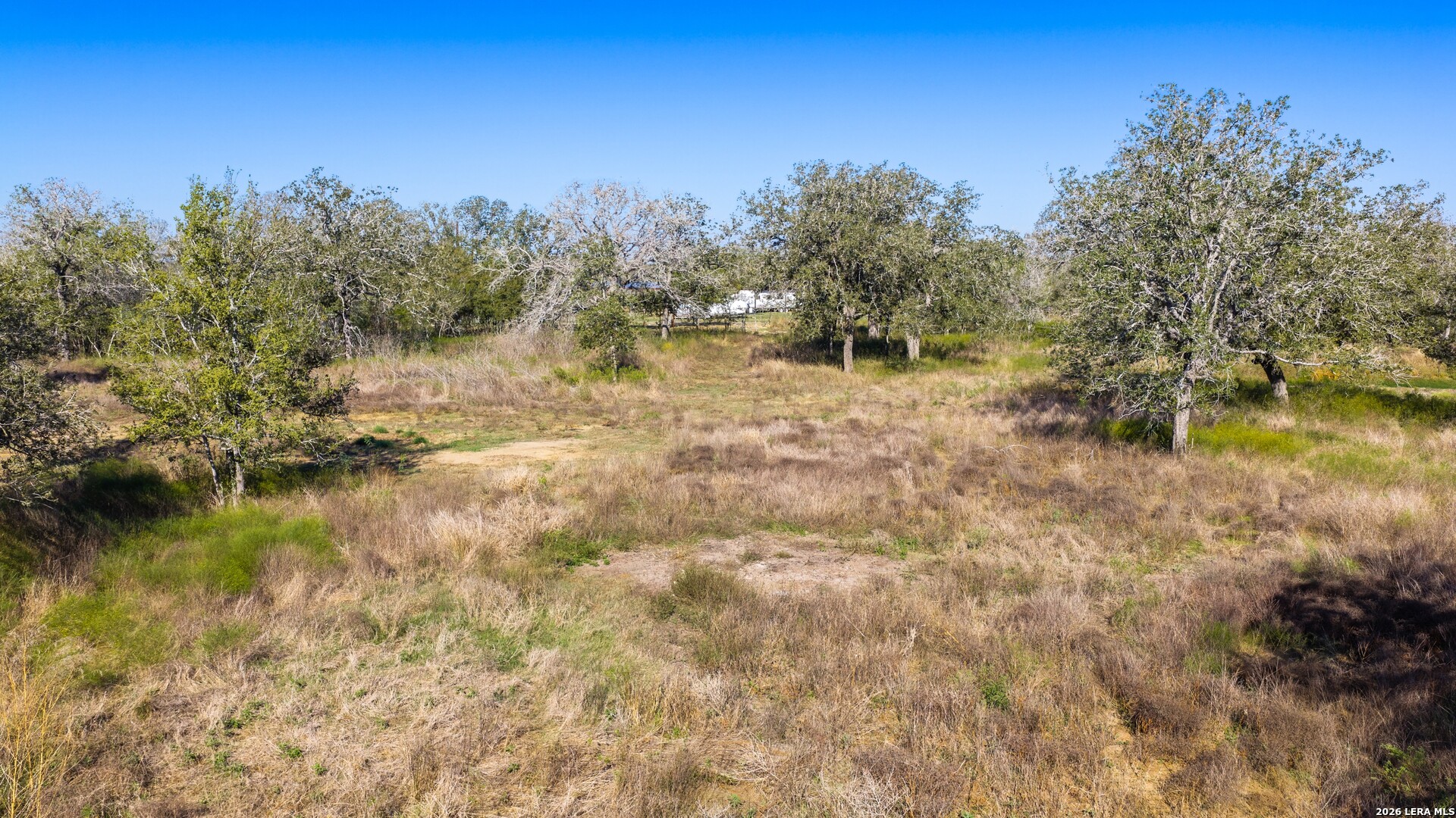 594 Sleepy Meadow, Nixon, TX 78140