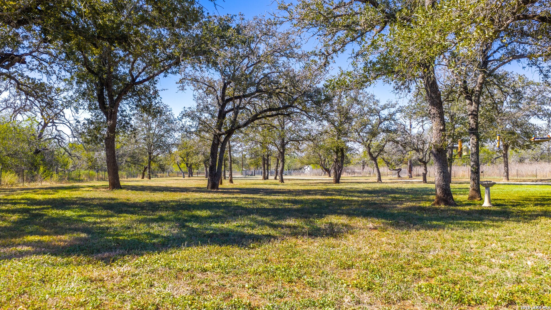 594 Sleepy Meadow, Nixon, TX 78140