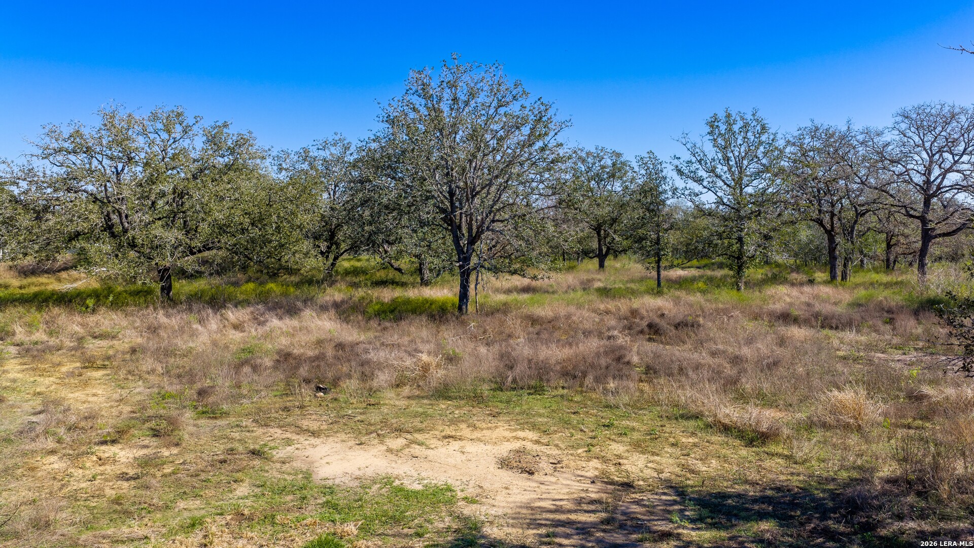 594 Sleepy Meadow, Nixon, TX 78140