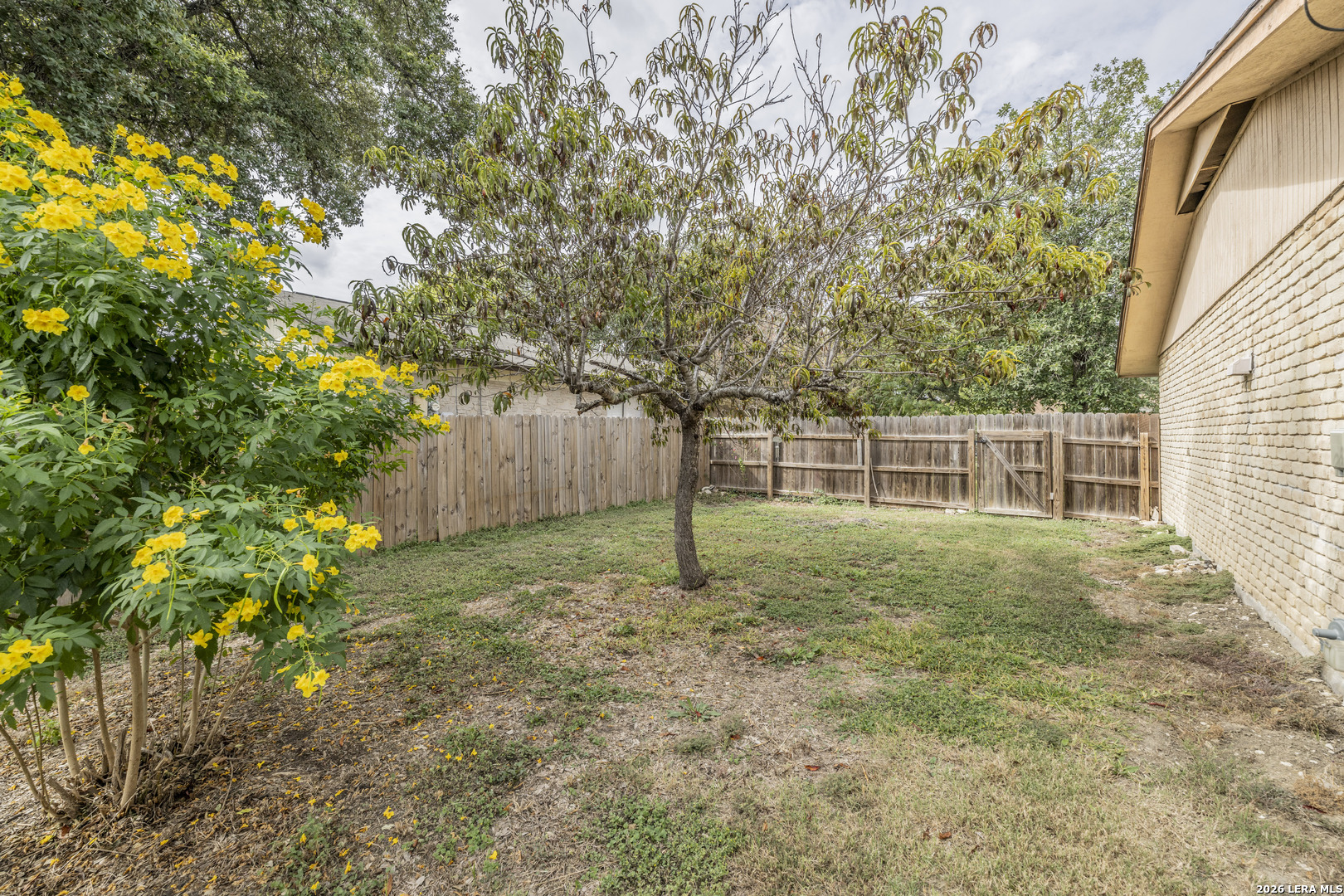 8822 Bridington, San Antonio, TX 78239