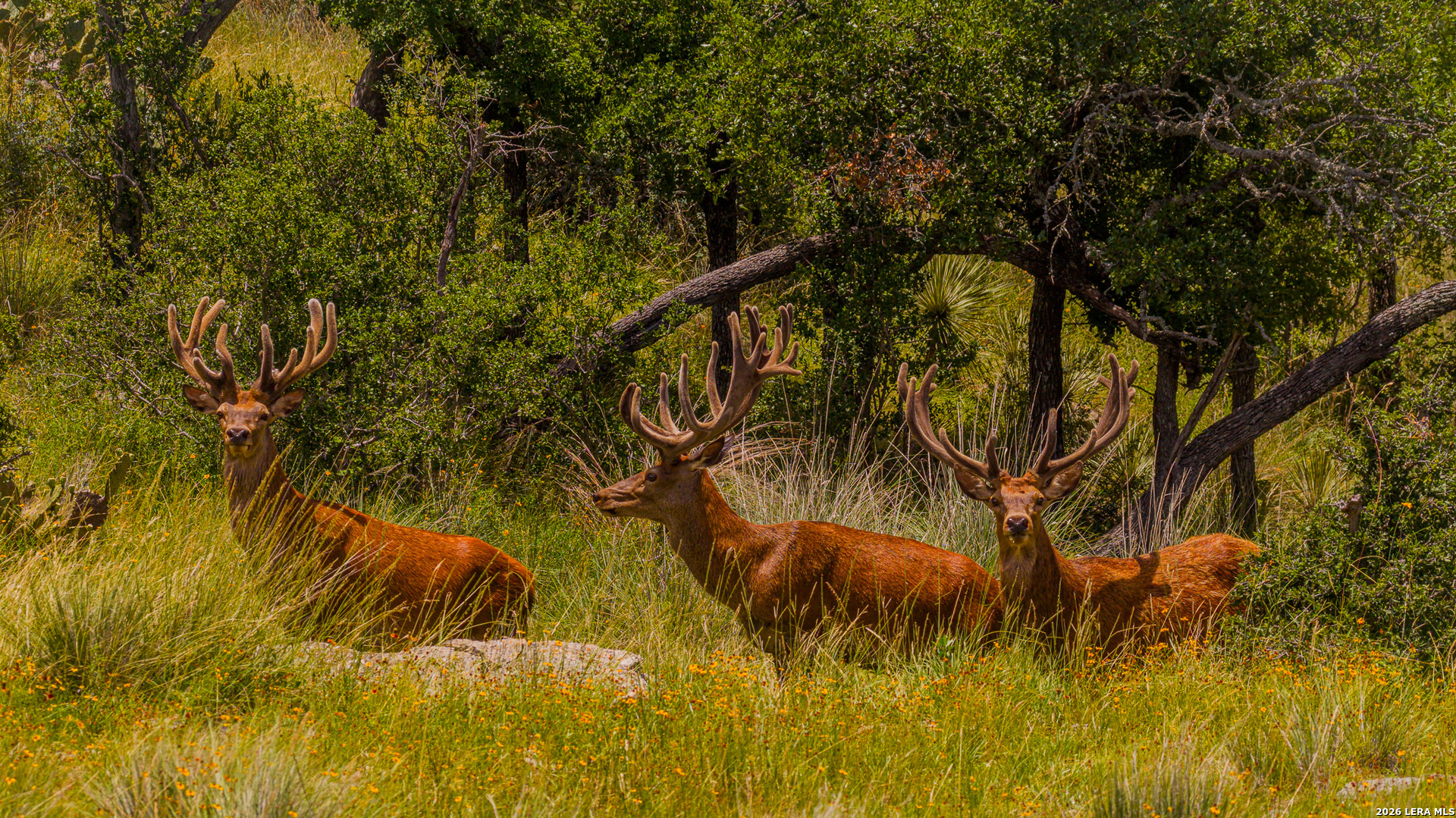 7556 County Road 312, Llano, TX 78643