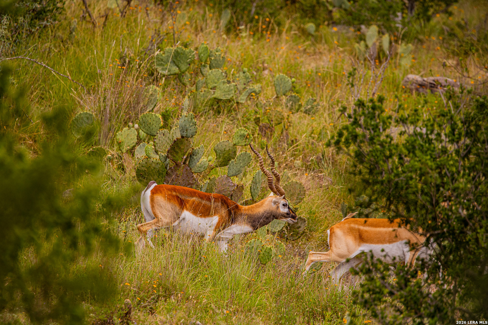 7556 County Road 312, Llano, TX 78643