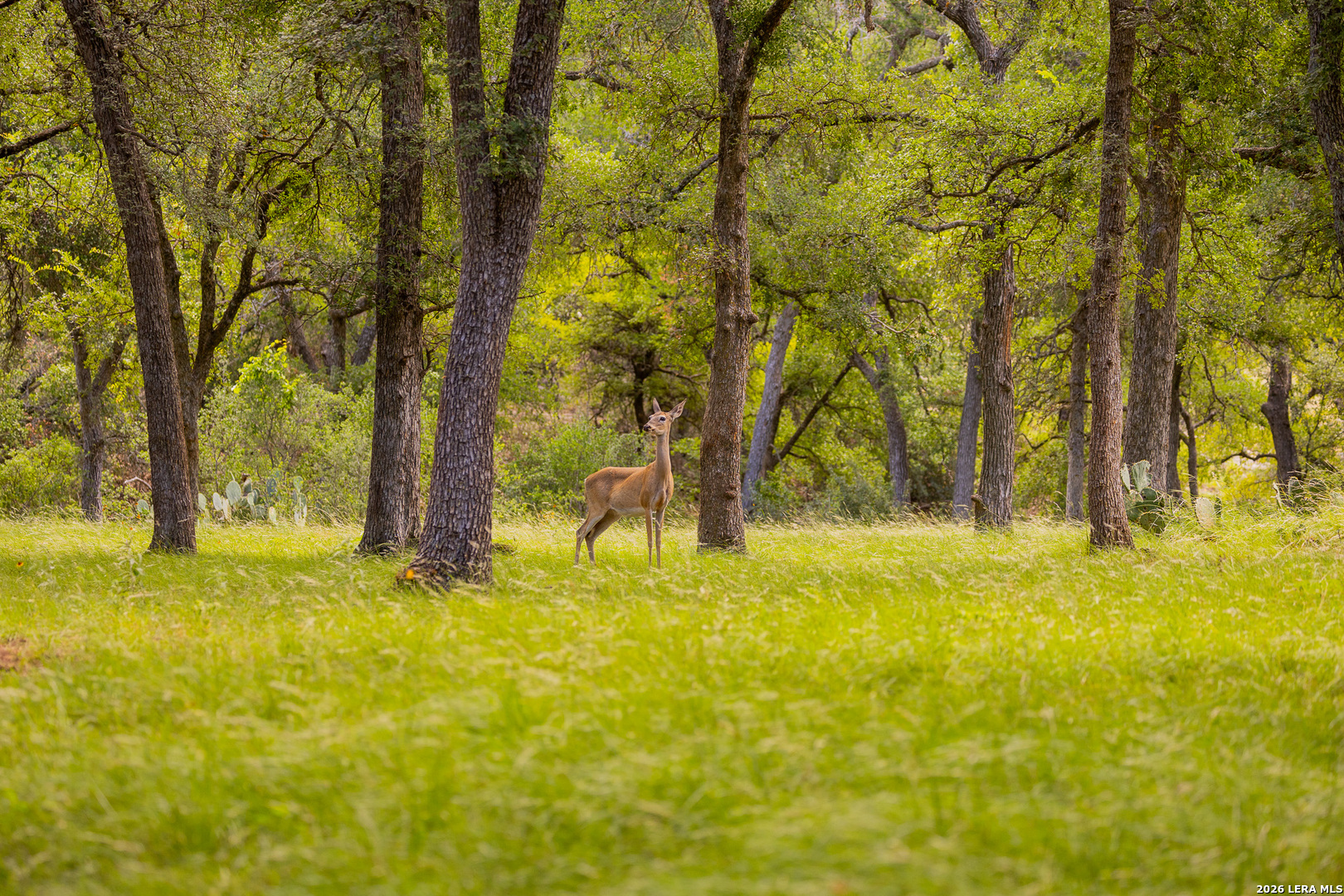 7556 County Road 312, Llano, TX 78643
