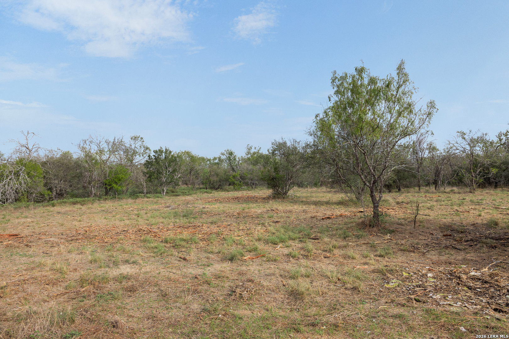 TRACT 11 Schultz Rd, Elmendorf, TX 78112