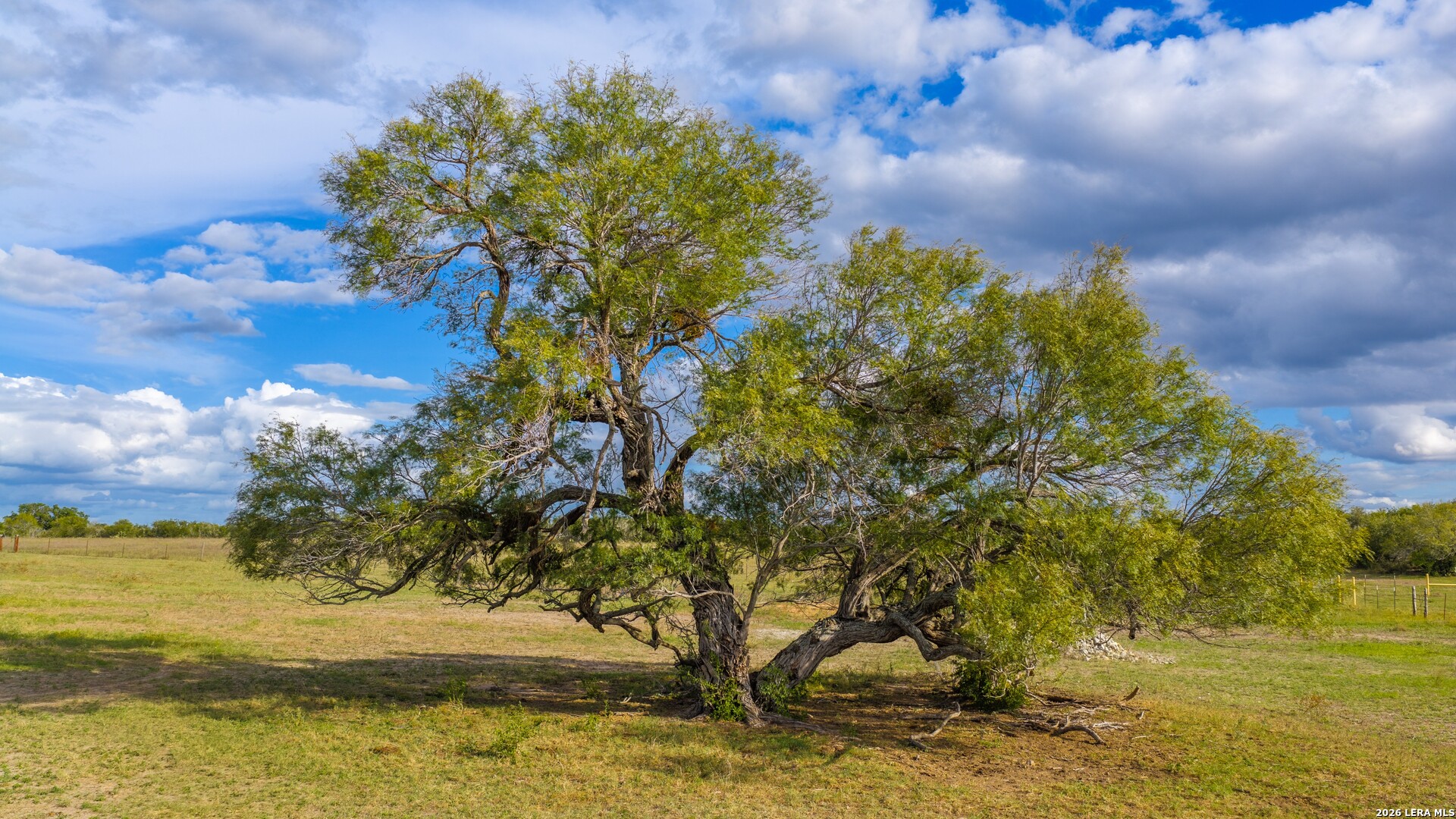 14068 Fm 1344, Falls City, TX 78113
