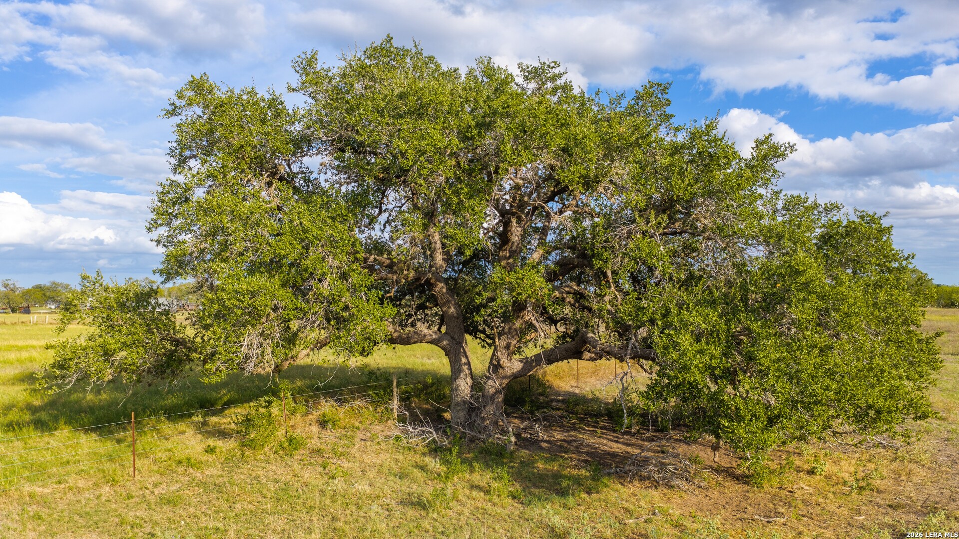 14068 Fm 1344, Falls City, TX 78113