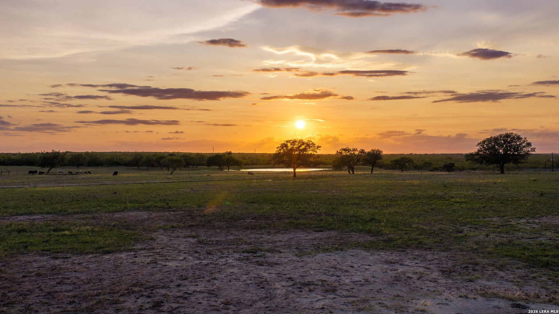 14068 Fm 1344, Falls City, TX 78113