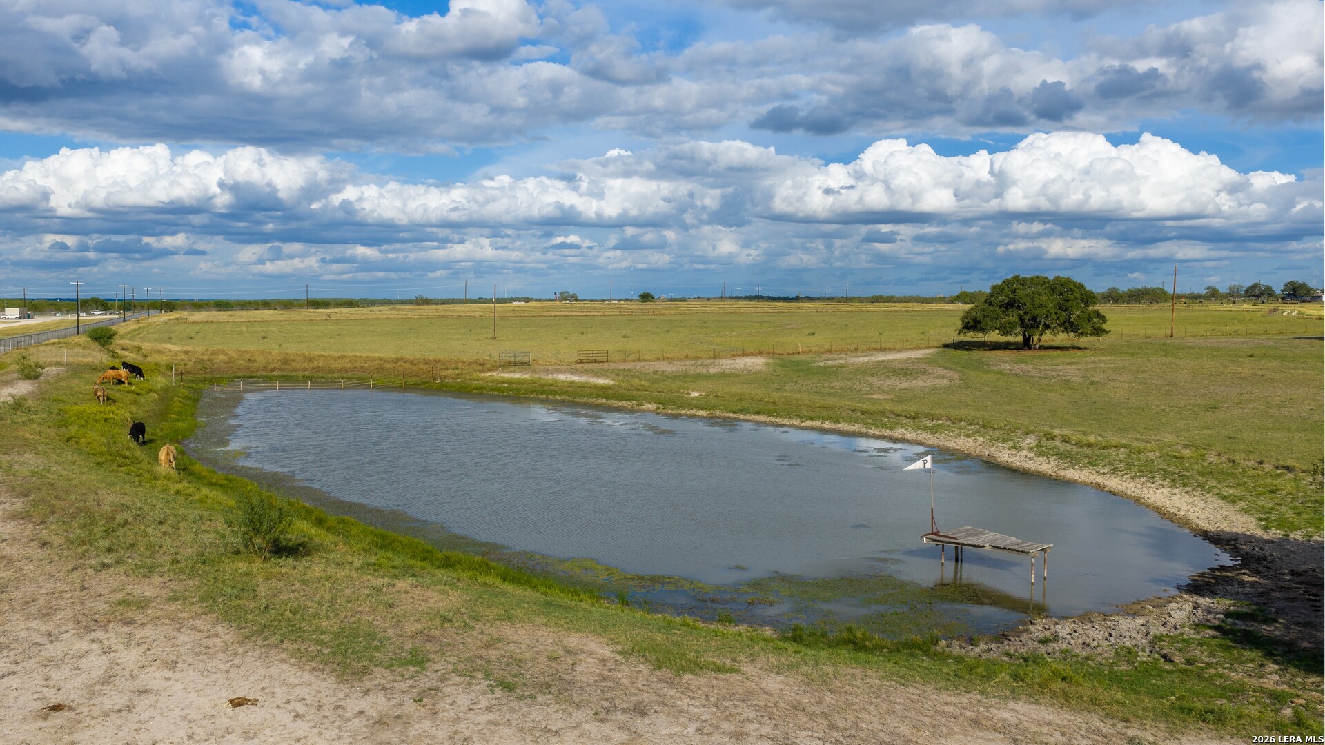 14068 Fm 1344, Falls City, TX 78113