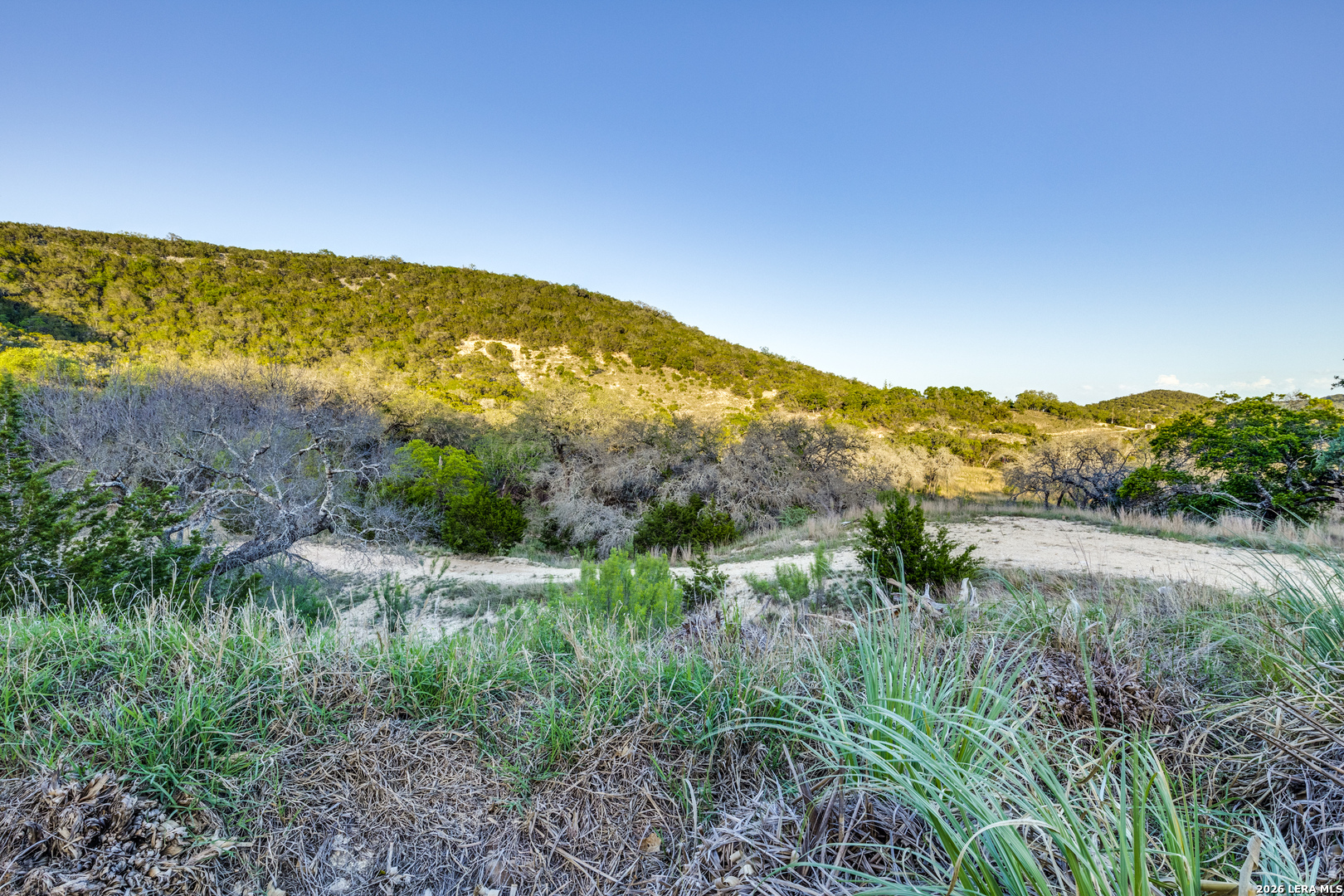 LOT 110C Juniper, Tarpley, TX 78883