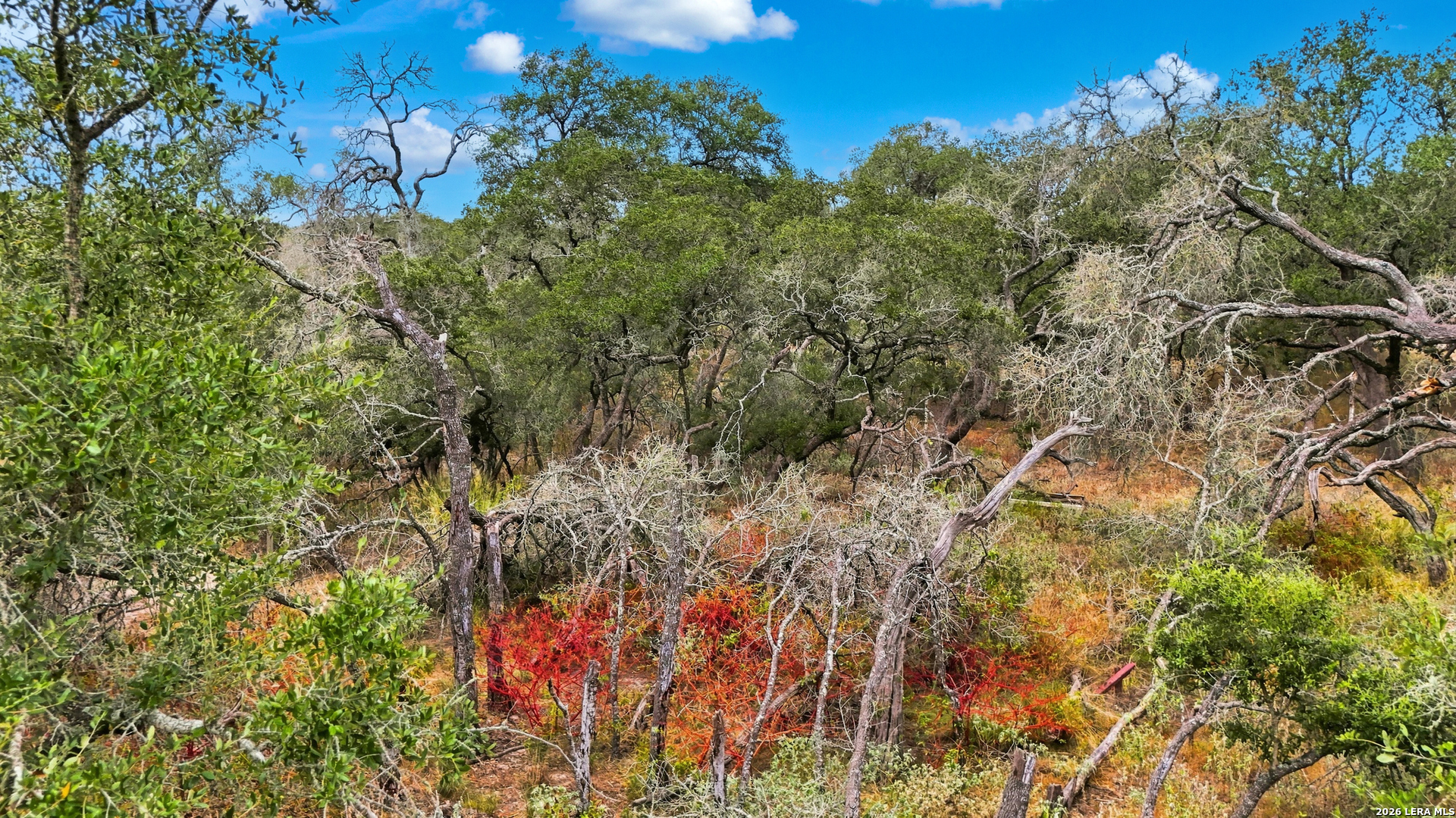 319 FLEETWOOD LN, Adkins, TX 78101