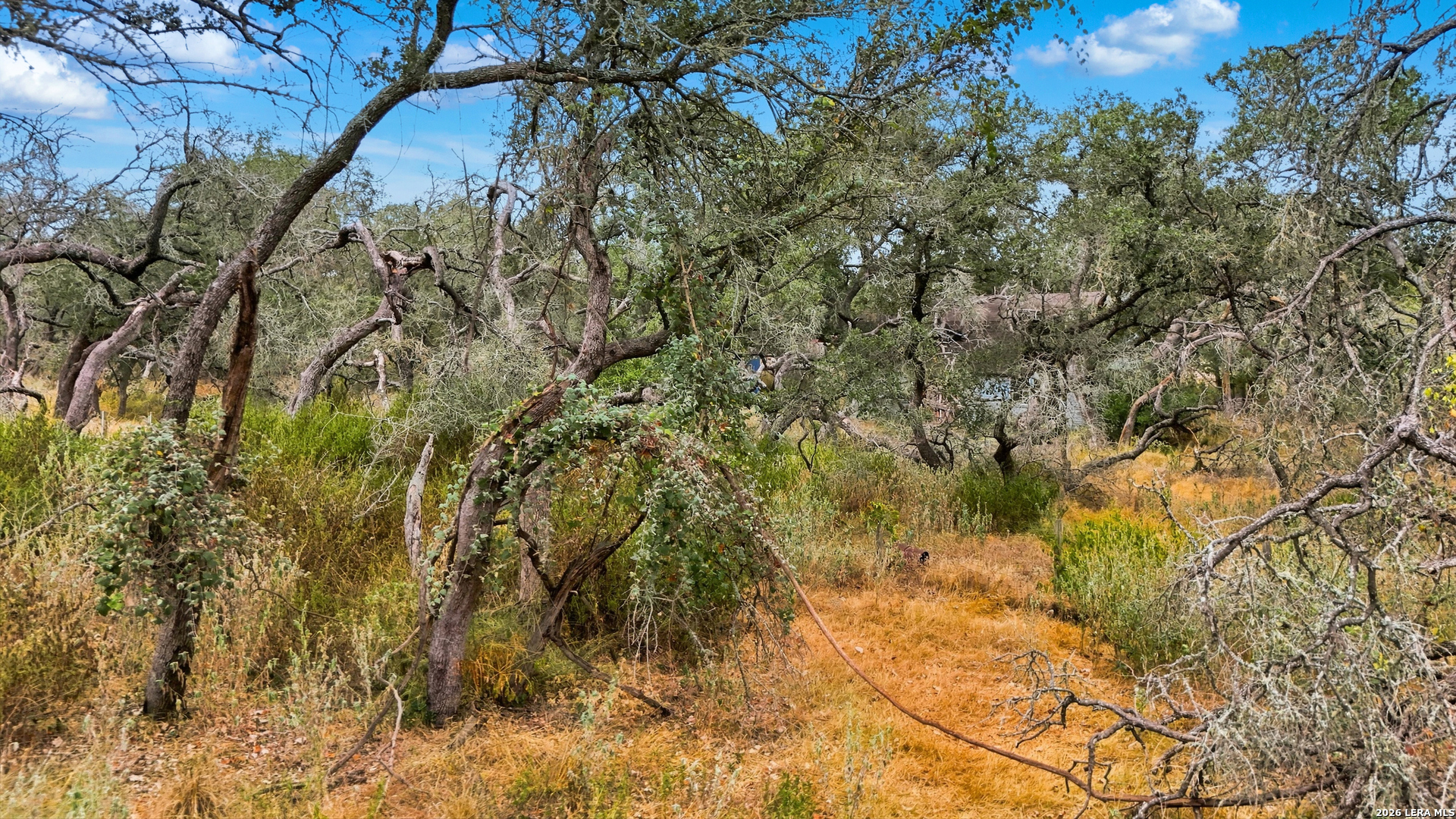 319 FLEETWOOD LN, Adkins, TX 78101